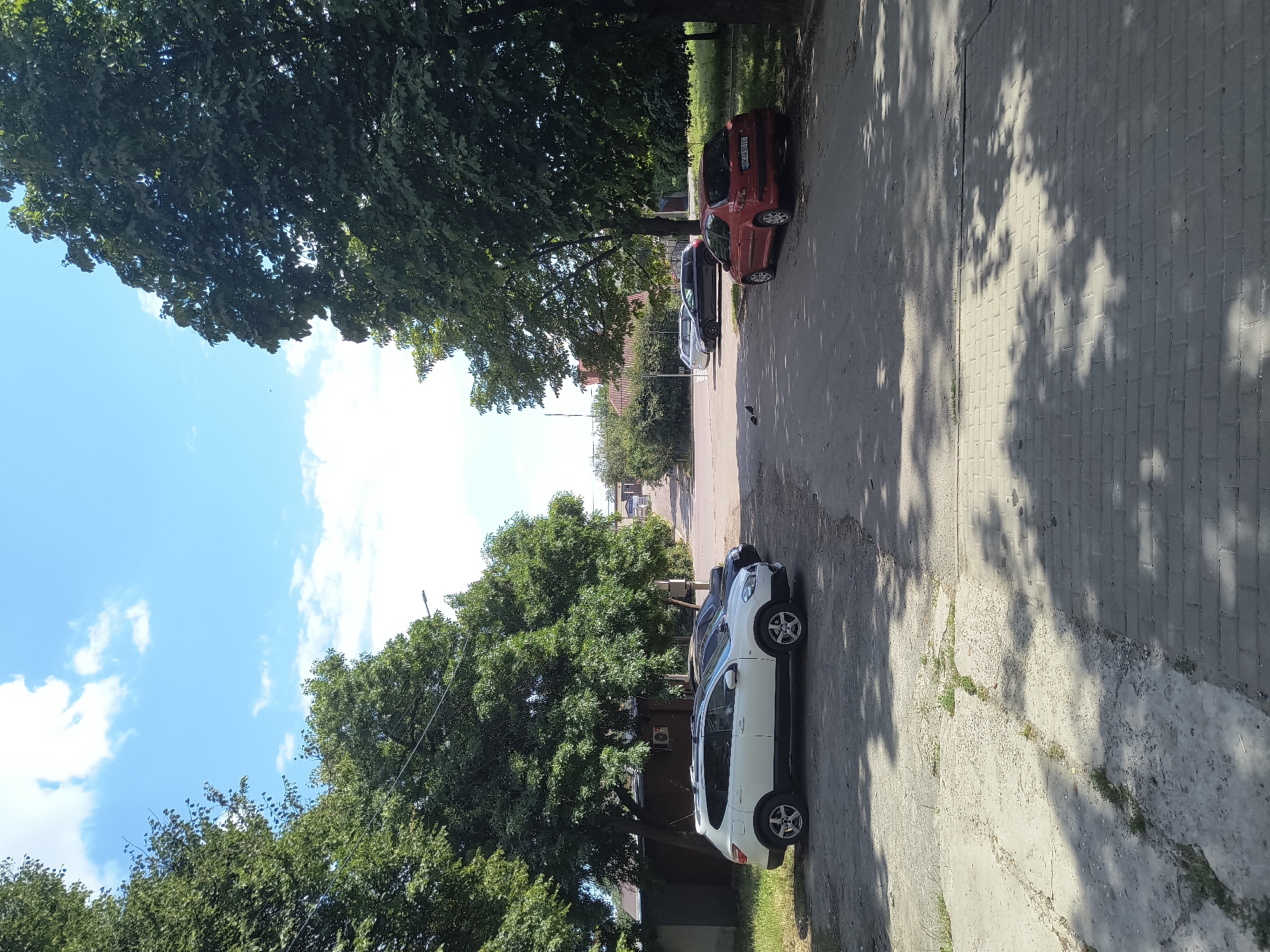 A street in Rivne, Ukraine, is pictured on a bright, sunny day with a blue sky and scattered white clouds. The scene depicts a paved street lined with trees on both sides. Several cars are parked along the street, including a white SUV, a black sedan, and a red hatchback. The red hatchback has a license plate that reads "BK 4430 IC." In the foreground, the street is a mix of pavement and dirt. Shadows of the trees are cast across the street. The environment suggests a residential or suburban area.