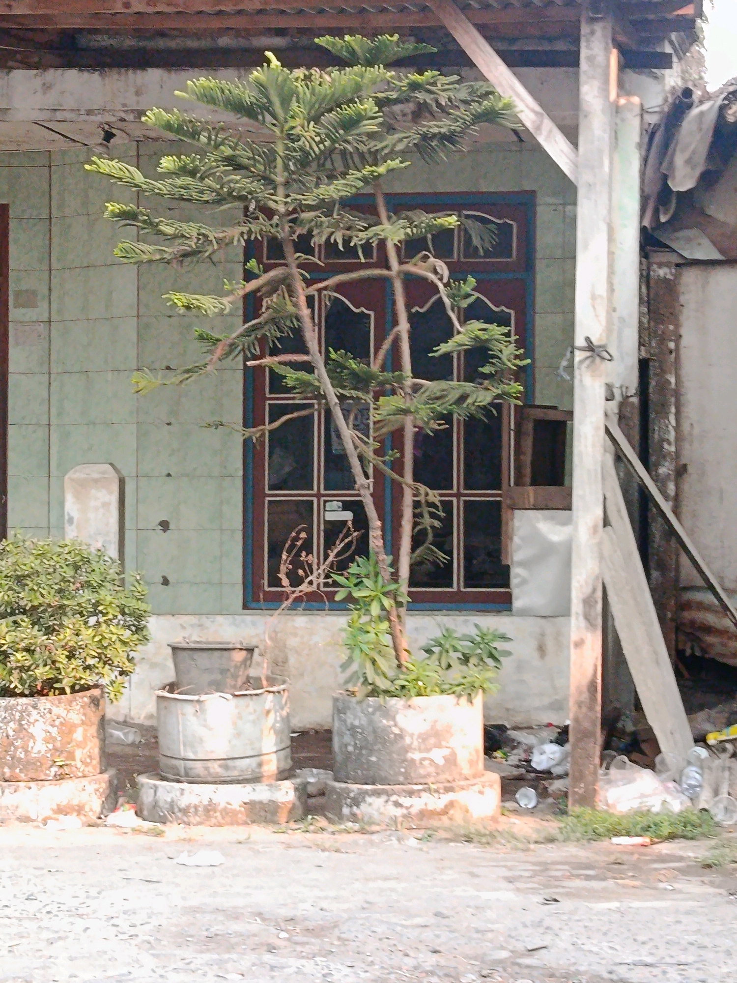 The image depicts an outdoor scene in Jobokuto, Indonesia, featuring a small tree in a pot in front of a building. The building has a tiled exterior and a window with multiple panes and a dark interior. To the right of the window, a wooden support structure is visible. In the foreground, there are several concrete planters, one containing a small shrub and another holding a larger potted plant with a slender trunk. The ground is a rough, light-colored surface, and scattered debris, including plastic bags and bottles, is present to the right of the planters. The overall impression is one of an urban or semi-urban environment, possibly a residential area.