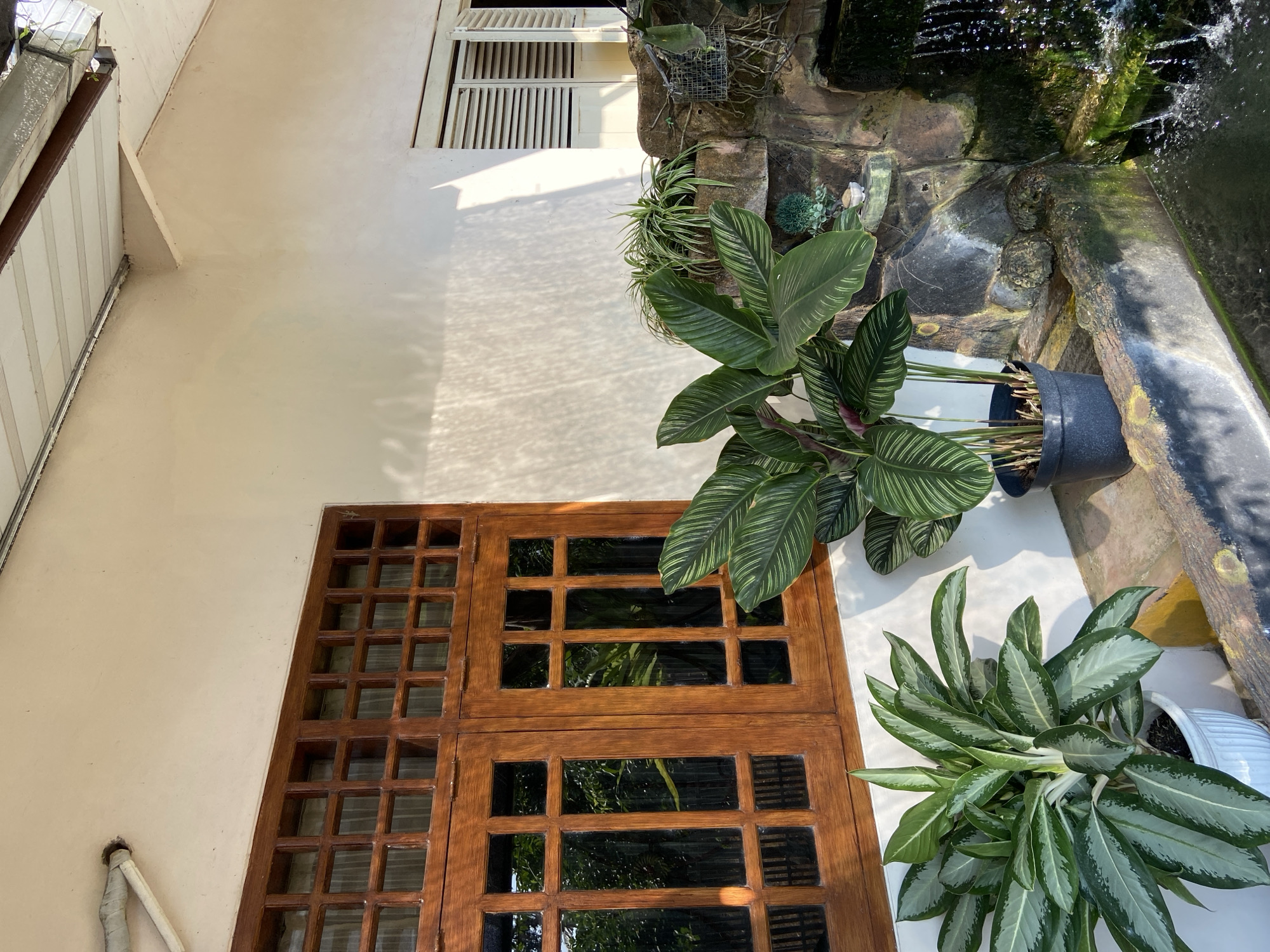 The image depicts an outdoor scene in Margorejo, Indonesia, featuring a section of a building with a wooden-framed window and a small water feature. The building has light-colored walls and a white-shuttered window is visible on the right side. In front of the building, several potted plants are arranged. To the left, a large plant with broad, variegated green and white leaves is in a white pot. In the center, a plant with dark green leaves featuring prominent light green stripes is in a black pot. To the right, a decorative water feature is built with stones, with water cascading down into a pool below. Sunlight casts shadows on the building's wall. No people are present in the image.