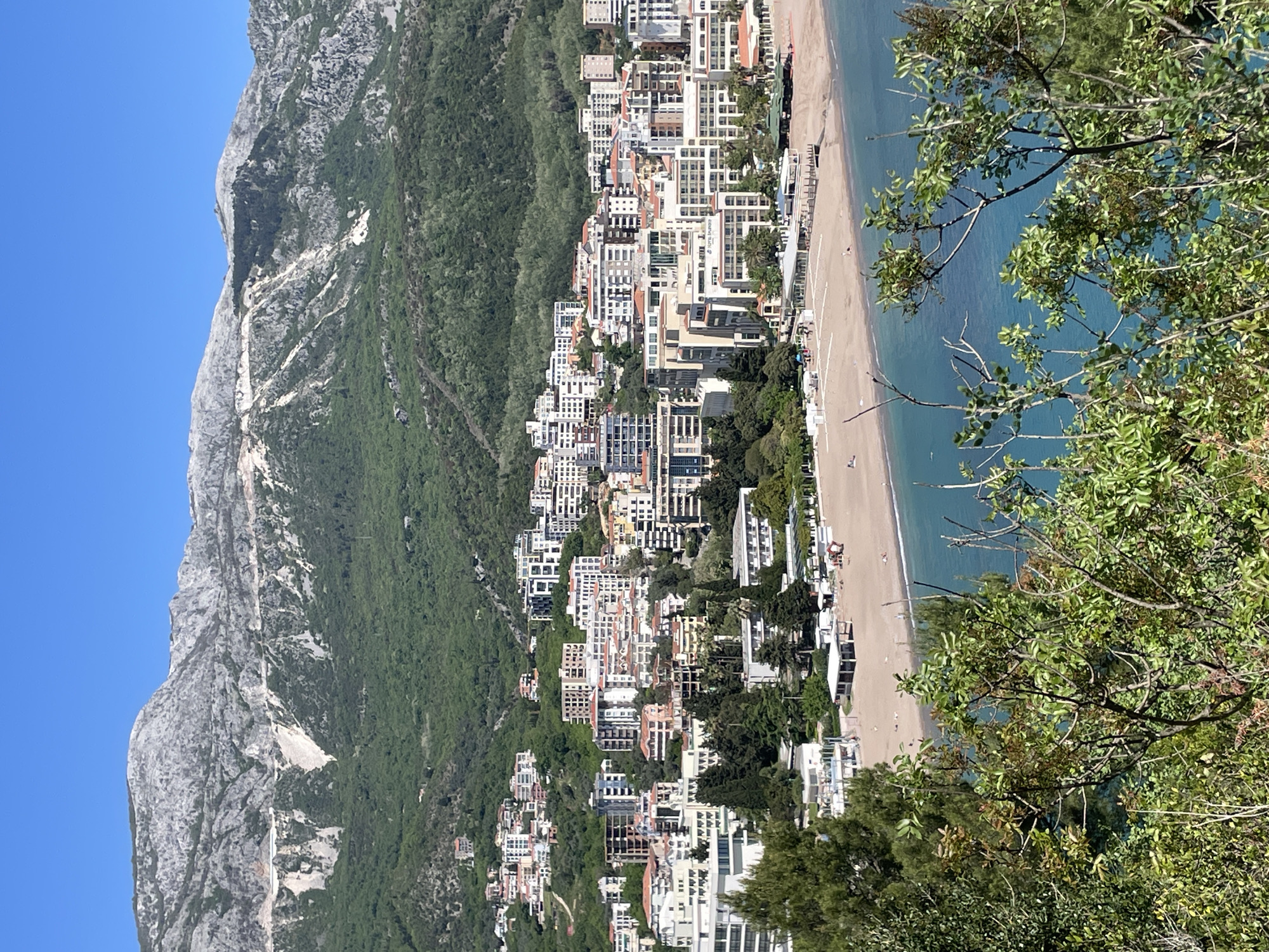 This vibrant outdoor image captures a panoramic view of the coastal city of Budva, Montenegro, nestled between a majestic, rugged mountain and the serene Adriatic Sea. The scene unfolds under a clear, bright blue sky, indicating a sunny day, likely late morning or early afternoon.
On the left, a towering, grey-white rocky mountain rises steeply, its slopes partially covered with dense green vegetation, contrasting with exposed rock faces. The base of this mountain is integrated with the sprawling urban landscape.
The town occupies the central and lower-right portions of the frame. It features a dense collection of predominantly modern, light-colored buildings, many appearing to be multi-story hotels and residential complexes. These structures line the foothills and extend towards the coastline. One building clearly displays "Hotel Budva" signage.
A pristine sandy beach forms a graceful arc between the urban development and the sea. Small figures of people are visible on the beach, engaged in various leisurely activities like sunbathing or walking.
The right side of the image is dominated by the calm, crystal-clear turquoise waters of the sea. In the immediate foreground on the far right, leafy green branches from trees partially frame the view, indicating the photograph was taken from an elevated, vegetated vantage point, offering a stunning vista. The overall impression is one of a vibrant holiday destination, blending natural beauty with urban development under ideal weather conditions.