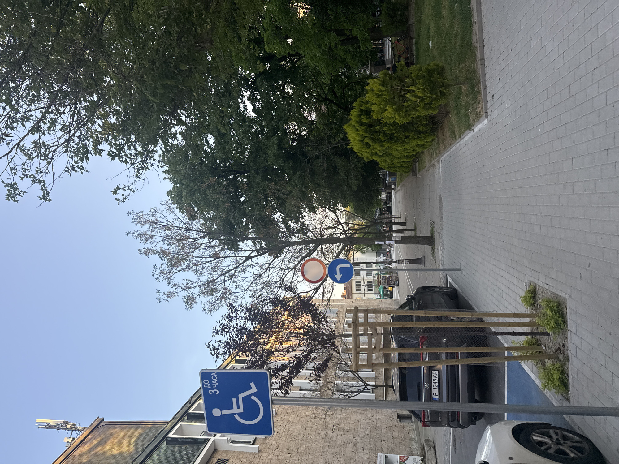 The image depicts a street scene in Blagoevgrad, Bulgaria. A handicapped parking space is indicated by a blue sign with the wheelchair symbol and text in Cyrillic (possibly stating a time limit of 3 hours) and a blue painted area. A dark-colored SUV, visible in the background, is partially obscured by a newly planted tree supported by wooden stakes. Adjacent to the handicapped parking space is a white car. The sidewalk is paved with gray bricks. In the background, buildings are visible, and street signs are posted. Trees line the street, creating a canopy of foliage. The sky is visible in the upper left corner. A cell tower can be seen on the roof of a building.