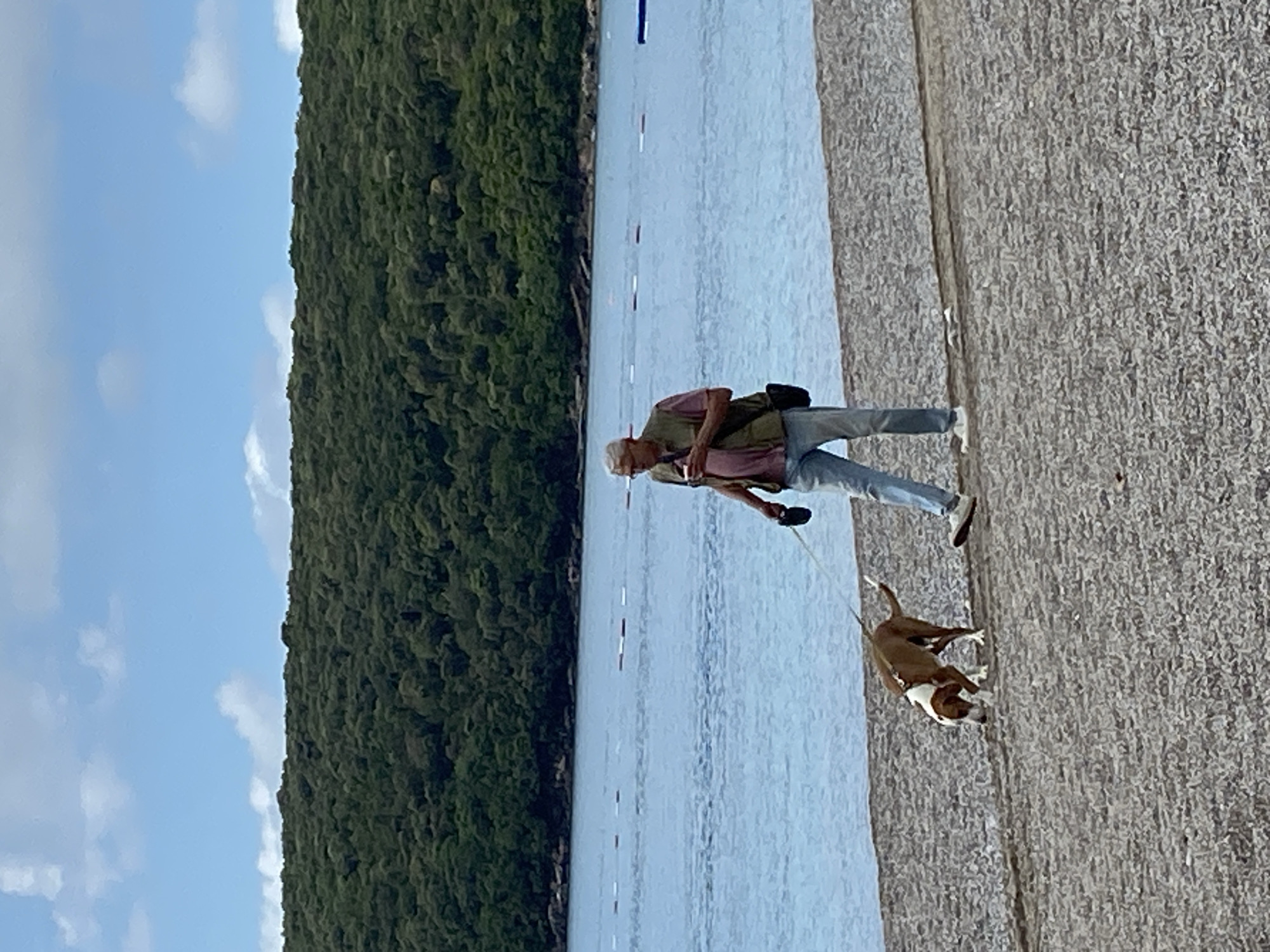 A medium shot depicts a man and his dog on a concrete path alongside a body of water, possibly a lake or fjord, in Prijevor, Montenegro. The man, wearing a pink shirt, green vest, and blue jeans, walks with his dog on a leash. The dog is brown and white. Dense green trees cover the hillside opposite the path, and the sky, visible above the trees, is blue with scattered clouds. The body of water has a line of markers along its surface. The location is suggested by the combination of water, vegetation, and the description of Prijevor, Montenegro.