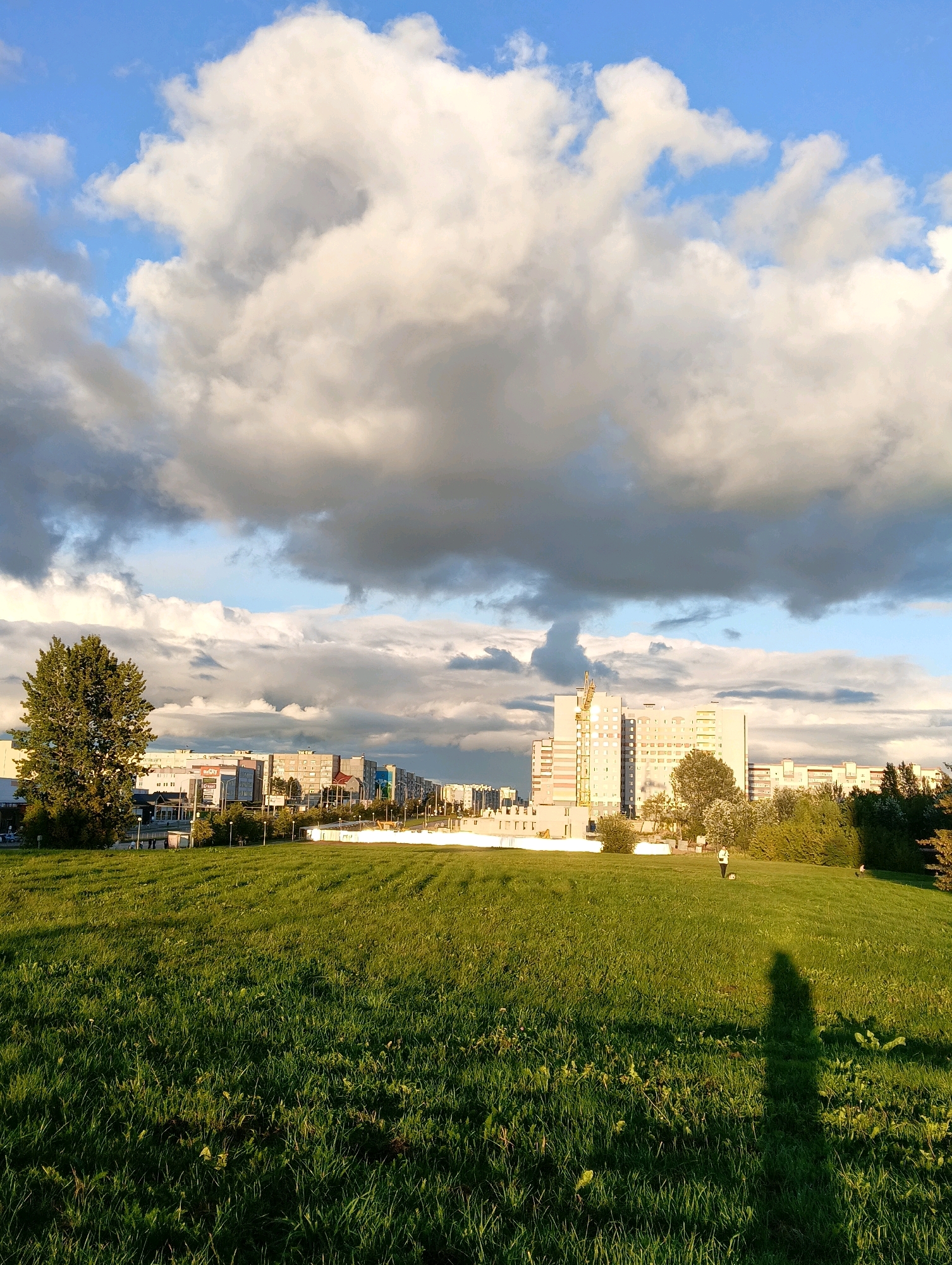 A low-angle shot captures a sunlit grassy hill in the foreground, with a city skyline in the background. The sky is predominantly filled with large, dramatic clouds, some white and fluffy, others darker and more ominous, with patches of blue visible between them. The sun casts long shadows across the grass, indicating it is either early morning or late afternoon.
On the grassy hill, a person is walking a dog. The person, wearing a light-colored top and dark bottoms, is silhouetted by the sun, as is a large shadow cast by the photographer. The dog, appearing to be a medium-sized breed, is visible next to the person.
The city skyline is a mix of modern apartment buildings and what appear to be commercial structures. A tall, pale yellow building with visible windows and balconies stands out, with a construction crane positioned behind it. The buildings stretch across the horizon, some appearing taller than others. Trees and bushes line the edge of the city, separating it from the grassy area. The scene suggests a park or open green space located on the outskirts of a city.
While the image is not definitively identifiable as being in Hrodna, Belarus, the architectural style of the buildings and the presence of green spaces are consistent with urban planning found in many Eastern European cities. The overall atmosphere is one of natural beauty juxtaposed with urban development.