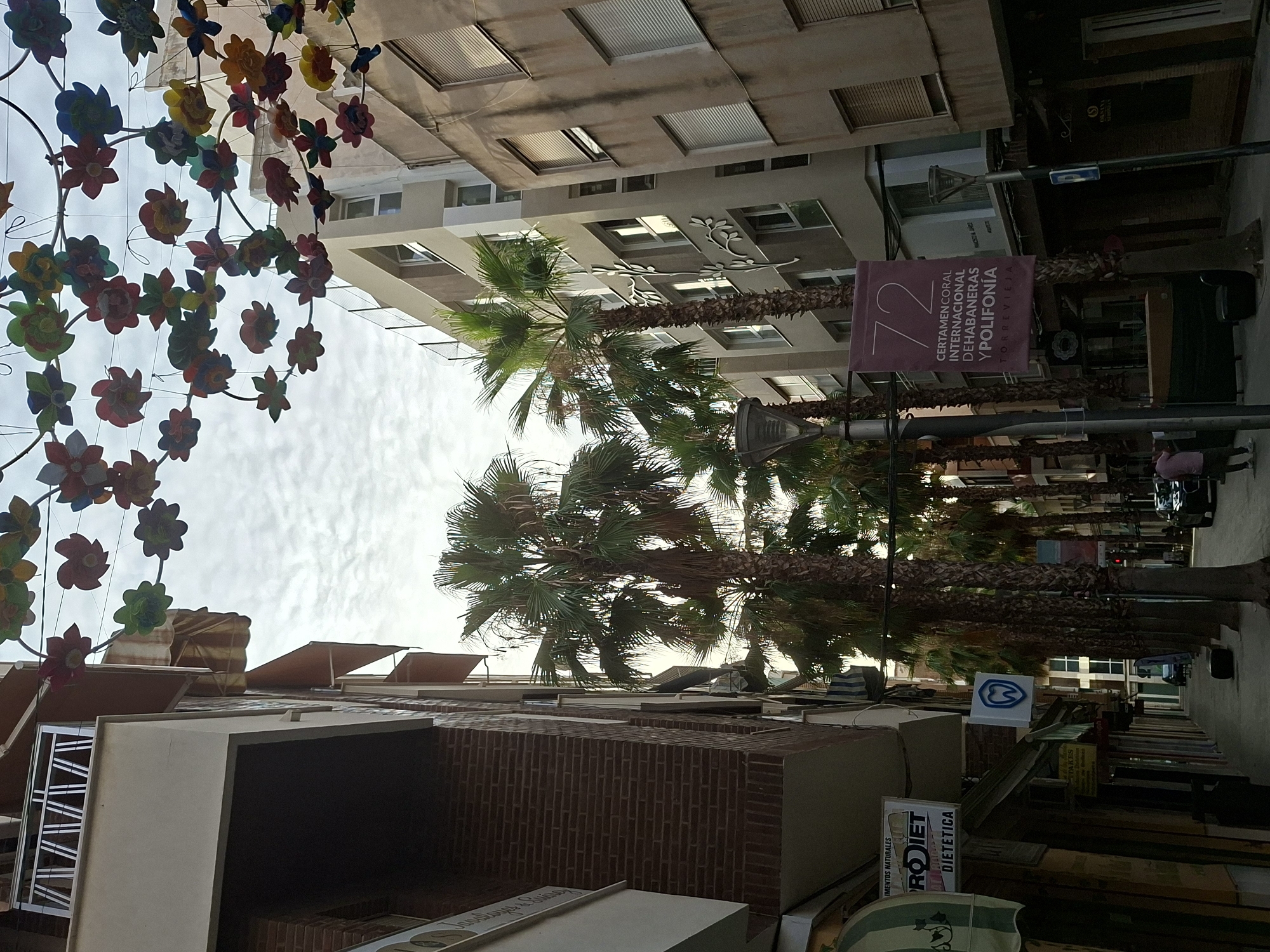 The image depicts a street scene in Torrevieja, Spain, likely decorated for an event. Overhead, colorful paper flowers are strung across the street, creating a festive canopy against a cloudy sky. The street itself is lined with buildings, some with awnings. On the left, a building features a red brick facade with white trim and a balcony railing. Several signs are visible on this building, including one that reads "RODIET DIETÉTICA". Further down the street, palm trees are planted along the sidewalk, casting shadows. One building on the right has a modern, light-colored facade with decorative floral motifs. A banner is hanging from a lamppost, displaying "72 CERTAMEN CORAL INTERNACIONAL DE HABANERAS Y POLIFONÍA TORREVIEJA". A dark colored SUV is parked on the right side of the street, and a person in a pink shirt is walking away from the camera on the sidewalk. The overall atmosphere suggests a sunny day in a Mediterranean city.