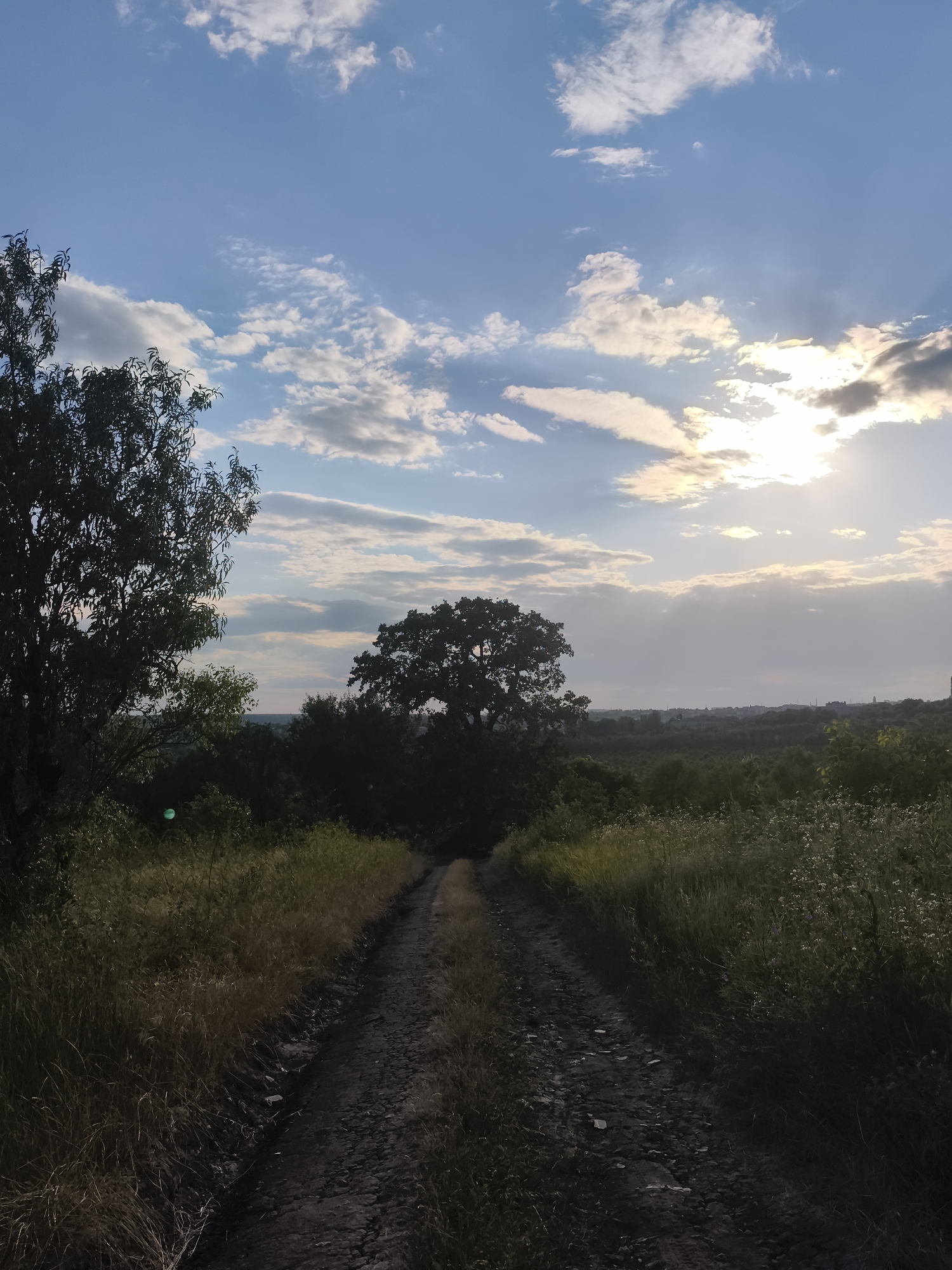 The image depicts a dirt road leading into a wooded area, likely in or around Codru, Moldova, under a sky filled with scattered clouds and the setting sun. The road, appearing unpaved and uneven, is flanked by tall grasses and vegetation. The sunlight filters through the clouds, casting a warm glow on the scene. On the left side of the road, a large tree with dark foliage dominates the foreground. In the distance, a dense forest stretches across the landscape, with a subtle outline of buildings visible on the horizon. The overall impression is one of a natural, tranquil setting at dusk.