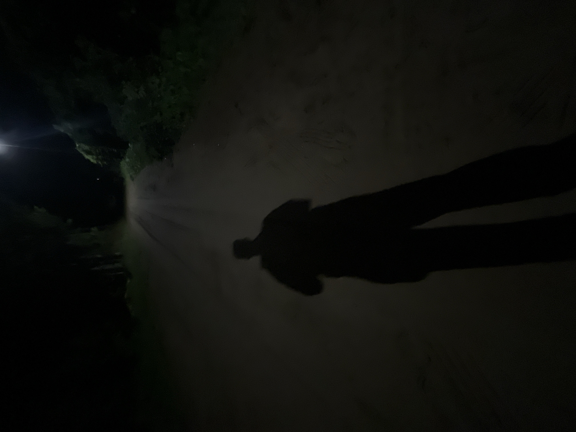 The image displays a nighttime scene on an unpaved road in Chaikovsky, Russia. A long, dark shadow of a human figure is cast across the foreground and midground, extending towards the viewer. The shadow suggests an individual wearing headwear, possibly a cap, walking away from the light source. A bright, artificial light source is visible in the upper right background, illuminating a section of the dirt road and dense, dark vegetation on the right side of the path. Additional dark foliage, indicative of trees or bushes, lines both sides of the unpaved road as it recedes into the distance. The environment is dark, with visibility primarily limited to areas touched by the distant light. No other individuals, vehicles, or specific objects are discernible.