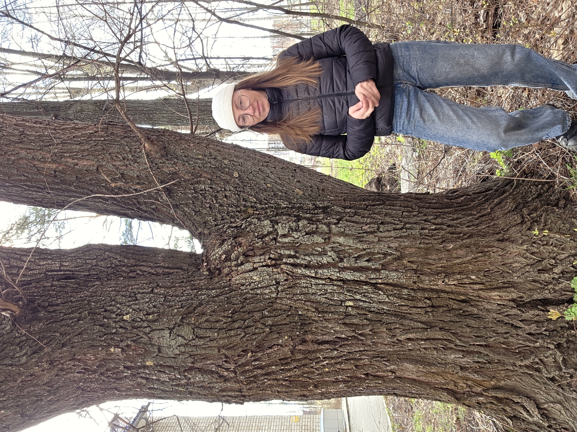 A young woman stands outdoors next to a large, prominent tree trunk. She is positioned on the right side of the frame, facing the viewer with a neutral expression. She has long, light brown hair, a white knitted beanie, and circular glasses. She is dressed in a black puffer jacket and light blue, loose-fitting jeans, with her hands clasped in front of her.
The foreground is dominated by the massive tree trunk, which features dark, deeply textured, and furrowed bark. It extends diagonally across the lower and central parts of the image. In the background, numerous bare tree branches are visible, suggesting the scene takes place in late autumn or early spring. Sparse green foliage is scattered on the ground and on some smaller branches. In the far background, hints of buildings, possibly residential structures, can be seen through the trees.
The time of day appears to be daytime, with soft, diffused lighting that suggests an overcast sky or indirect sunlight. The woman's warm clothing indicates cool weather. The setting is likely an urban park, a tree-lined street, or a natural area within or near a residential zone, consistent with the location context of Chaikovsky, Russia. There is no visible text in the image.