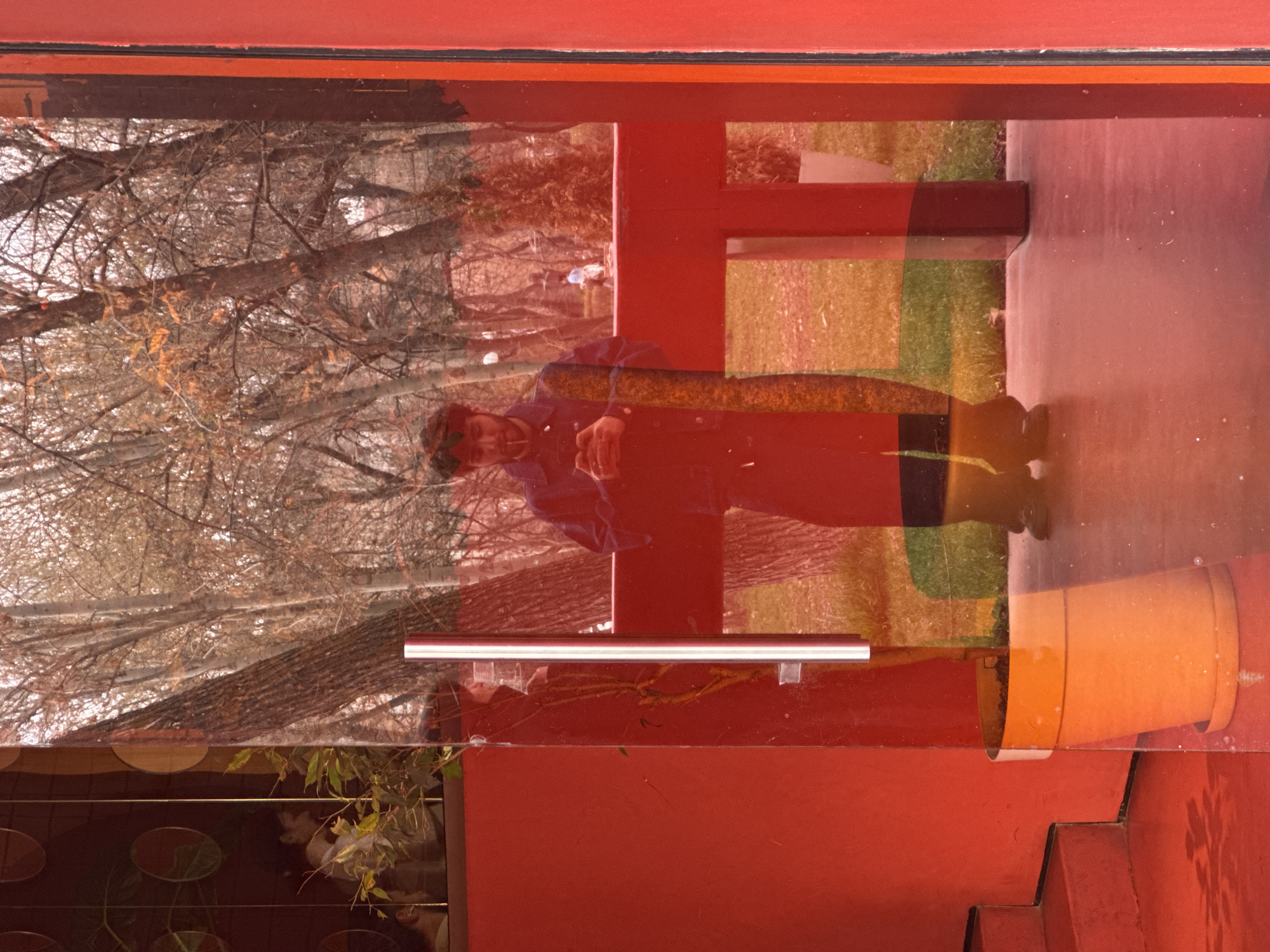 The image depicts a complex scene viewed through a red-tinted glass door or window of a building in Yerevan, Armenia, facing a park or wooded area during what appears to be late autumn or winter.
In the foreground, a prominent reflection of a male individual, approximately 20-30 years old with a beard, is centered. He wears a dark denim-style jacket and dark pants, holding a black smartphone with both hands at waist height, and appears to have a cigarette or similar small object in his mouth. To the left of this central reflection, a less distinct reflection of another person in dark clothing is visible. Further left, within the reflected interior of the building, a person wearing a light-colored top is partially visible, obscured by green foliage, with circular wall decorations in the background. An orange potted plant sits on the floor to the bottom left, partially inside and partially reflected. Red-painted stairs are visible on the far left. A vertical silver-colored door handle is present on the glass surface.
Through the glass, the outdoor environment consists primarily of numerous bare deciduous trees, suggesting a park or forested area. The ground beyond the immediate vicinity of the building is covered in grass and fallen leaves. A red-painted horizontal structure, possibly a barrier or architectural element, spans the mid-ground. In the far distance, a faint figure of a person is visible walking among the trees. The overall scene is heavily influenced by the strong red tint of the glass, casting a reddish-orange hue over both the reflections and the outdoor environment.
