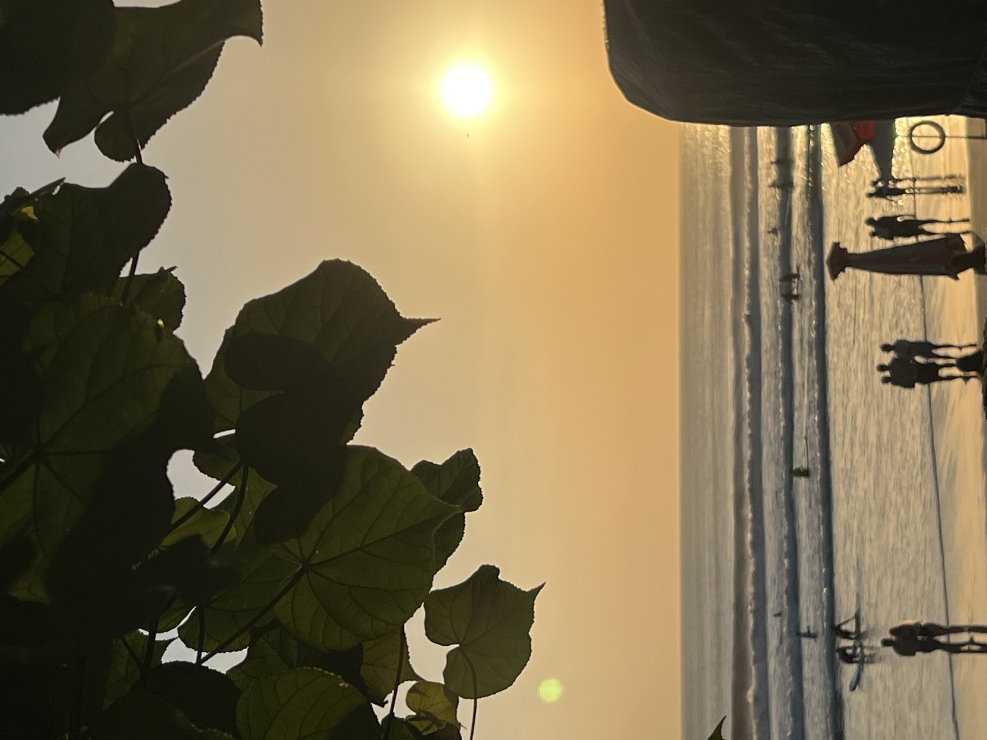 This image captures a sunset scene at Kuta Beach in Bali, Indonesia. The foreground features lush, dark green leaves of a tree hanging from the top of the frame, obscuring parts of the sky. Below the foliage, the sun is setting, casting a warm, golden glow across the sky and the ocean. The sun itself appears as a bright, luminous orb.
The ocean is calm with gentle waves rolling towards the shore. Several people are visible in the water, some on surfboards, suggesting surfing activities. Others are closer to the shore, wading or standing. The beach is populated with silhouettes of people. Two individuals are prominently in the foreground, standing close together on the wet sand, their reflections visible. Further down the beach, other groups of people are scattered.
To the right side of the frame, a large, dark, textured object, possibly a rock formation or a statue, juts into the frame from the bottom right corner. In the mid-ground on the beach, there are some beach umbrellas, one appearing red and white, and a circular object, perhaps a life buoy, is visible near the dark object on the right. The overall atmosphere is serene and tranquil, characteristic of a sunset on a popular tourist beach.