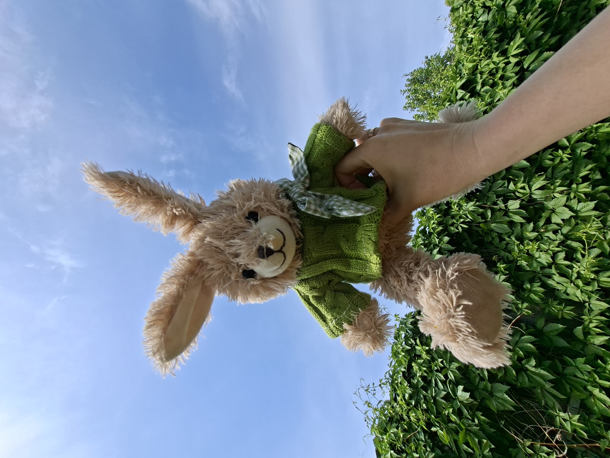 A low-angle shot depicts a stuffed bunny, wearing a green knitted sweater and gingham necktie, being held against a background of a blue sky with scattered clouds and green leafy vines. A pale-skinned human hand clutches the bunny at its neck. The scene is outdoors, with foliage partially obscuring the view to the sky. No further location information is available.