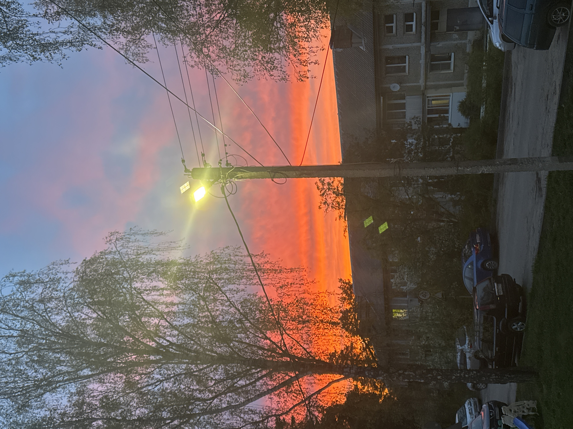 A vertical shot shows a street scene at dusk in Раздолье, Russia. The sky is vibrant with red and orange hues, transitioning to a softer blue and pink at the top. A utility pole is positioned in the center of the frame, with a lamp illuminated brightly. Bare tree branches frame the lower portion of the image. To the right of the pole, an apartment building is partially visible, with windows lit. Several parked cars are present on the right side of the frame. The overall scene conveys a tranquil evening atmosphere.