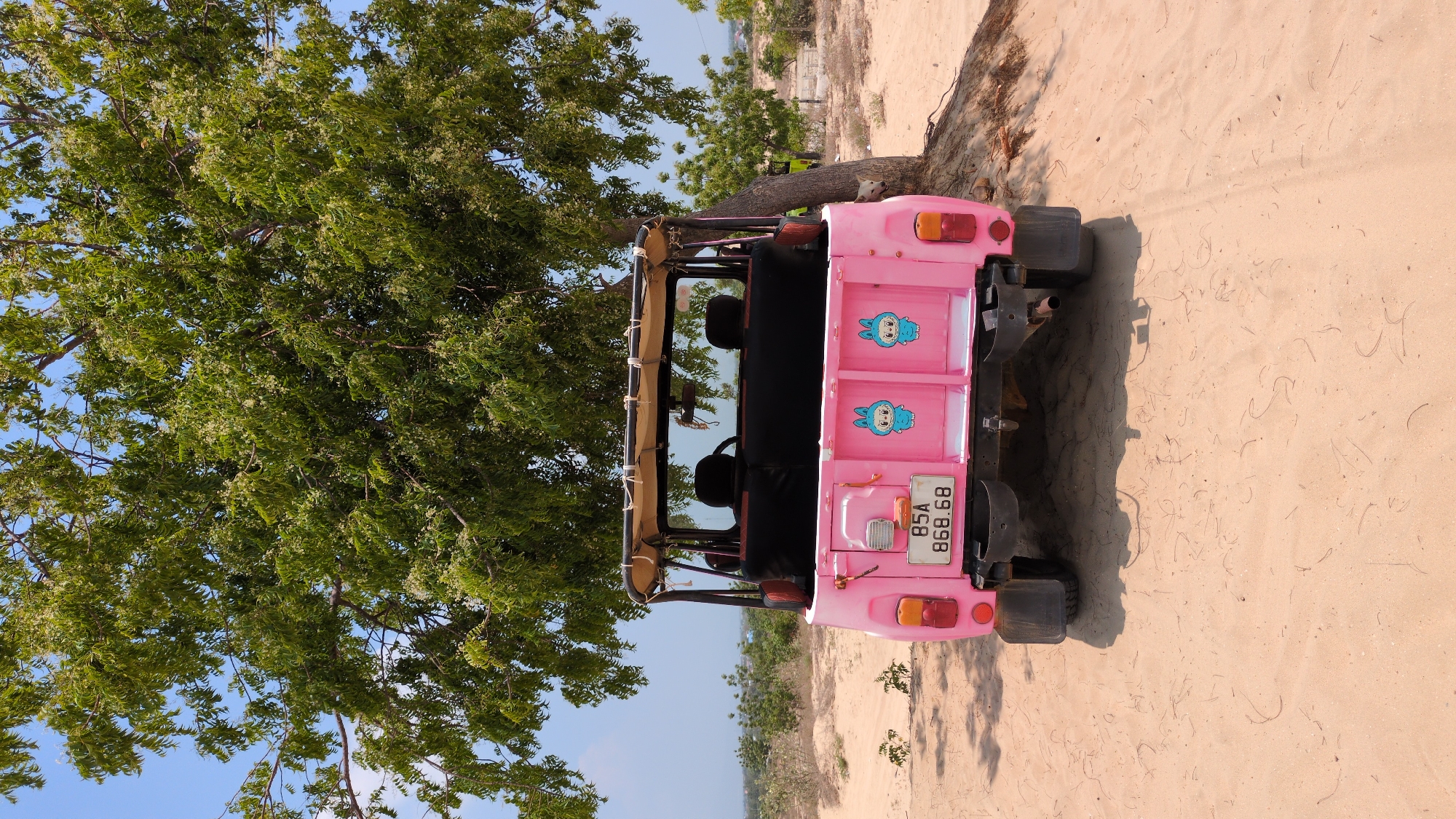 A pink open-top vehicle, possibly a jeep, is parked on a sandy area in what appears to be a coastal environment in Phuoc Dinh, Vietnam. The license plate reads "85A 868.68". The vehicle is decorated with cartoon stickers. The vehicle is next to a large tree with dense green foliage. The background shows a blue sky and hints of other vegetation and structures in the distance. The ground is sandy, suggesting a beach or dune area.