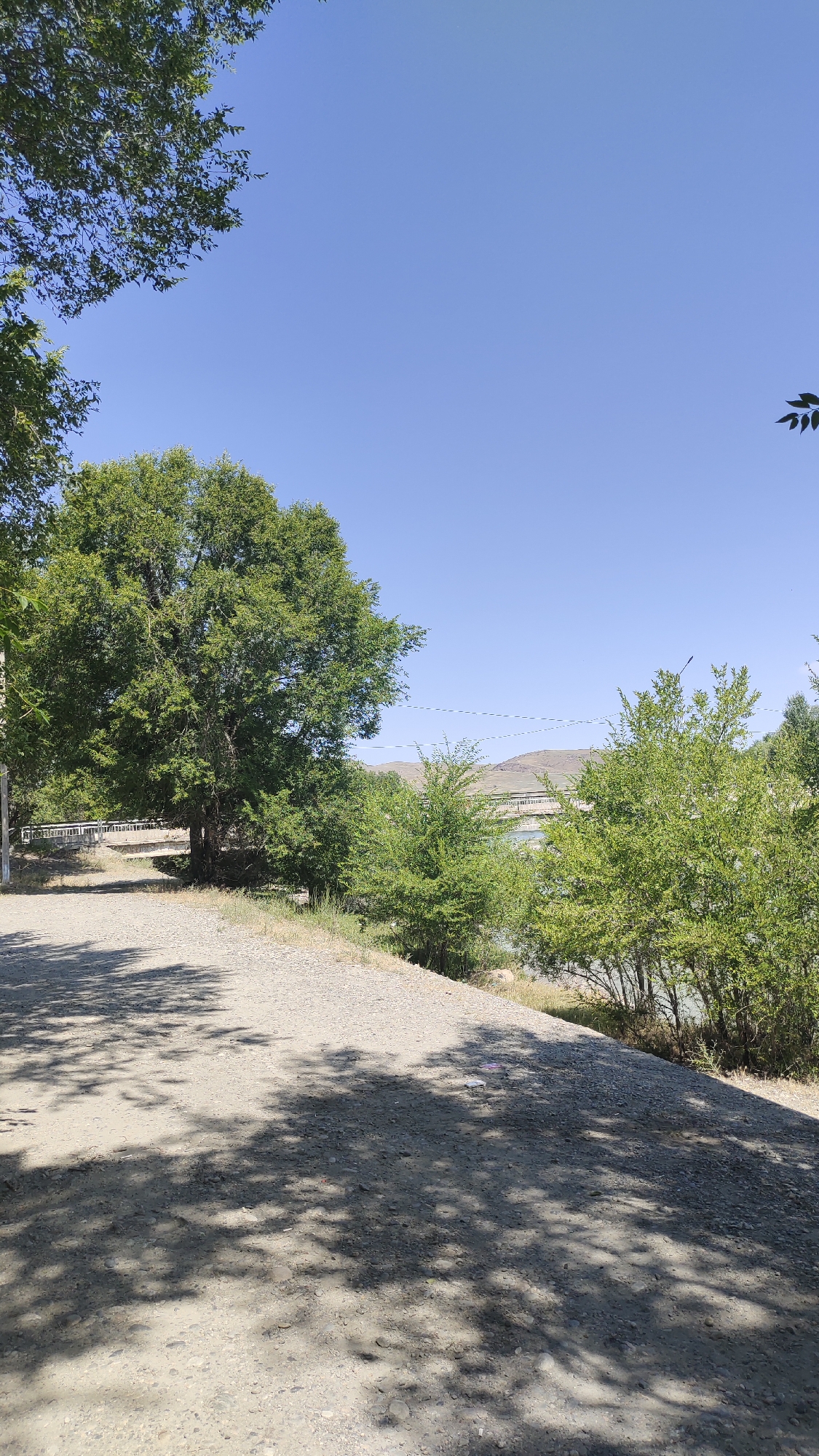 A dirt road curves to the right, bordered by a grassy embankment on the right and a large, leafy tree on the left. In the background, a river flows, with a bridge spanning it. Hills are visible in the distance under a clear blue sky. The scene appears to be a park or natural area within a city.