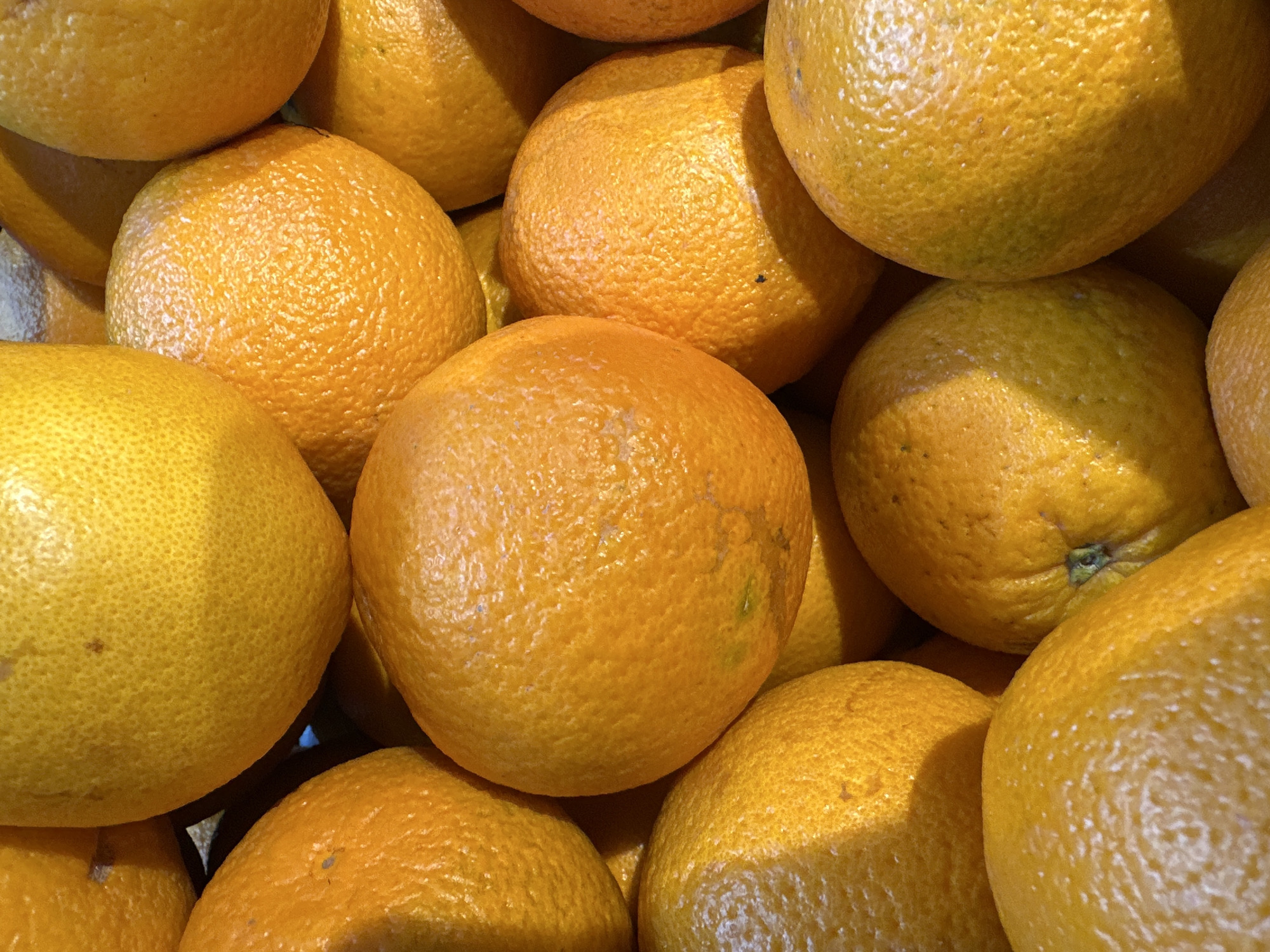 A close-up, high-angle shot captures a vibrant pile of citrus fruits, predominantly oranges, though some appear to be lighter-skinned grapefruits, filling the entire frame. The fruits are tightly packed together, creating an abundant display commonly found in a market or grocery store. Their skins exhibit a textured, slightly bumpy surface, with visible pores and slight imperfections such as small dark spots on some fruits. The color palette is dominated by warm hues, ranging from rich oranges to softer yellowish-orange tones, with variations suggesting different types or ripeness levels.
The lighting, likely artificial and overhead, casts distinct highlights on the upper surfaces of the fruits, making their texture more pronounced, and creating shadows in the crevices between them and on their undersides, which adds depth to the composition. There is no discernible activity or specific time of day. No people are visible, nor is there any visible text. The image focuses exclusively on the tactile and visual qualities of the fresh produce, suggesting a scene within a retail environment in Yekaterinburg, Russia.