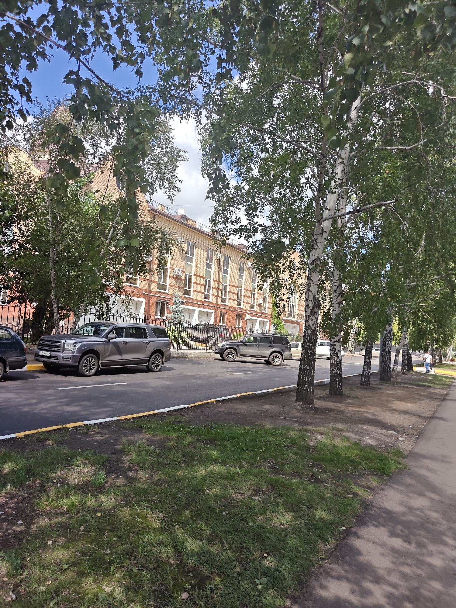 In Petropavl, Kazakhstan, a row of birch trees lines a paved road, casting shadows on the grassy verge. The trees are in full leaf, with their distinctive white and black bark visible. Beyond the trees, a multi-story brick building with numerous windows stands. The building appears to be an office or residential complex. Parked cars are visible on the road. One car, a grey SUV, is prominently featured in the foreground. The sky is partly cloudy. The scene depicts an urban environment with a focus on natural elements and man-made structures.