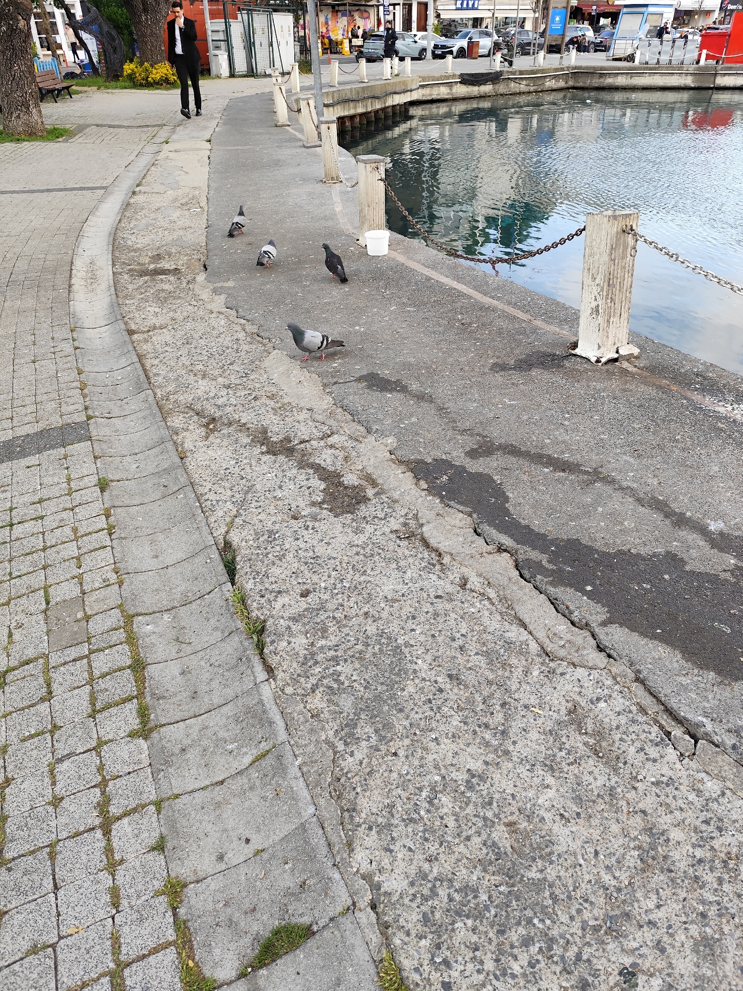 The image shows an urban waterfront scene. In the foreground, there's a paved walkway or promenade with a stone drainage ditch along its edge. Several pigeons are scattered on the walkway, pecking at the ground. Further along the path, a man dressed in a dark suit is walking away from the camera.
The walkway borders a body of water, possibly a harbor or bay. Wooden posts connected by chains run along the water's edge. The water reflects the sky and nearby buildings.
In the background, there are several buildings and shops, and cars parked along the street. The scene is set in a city, location is Unknown, Unknown. The weather appears to be overcast.