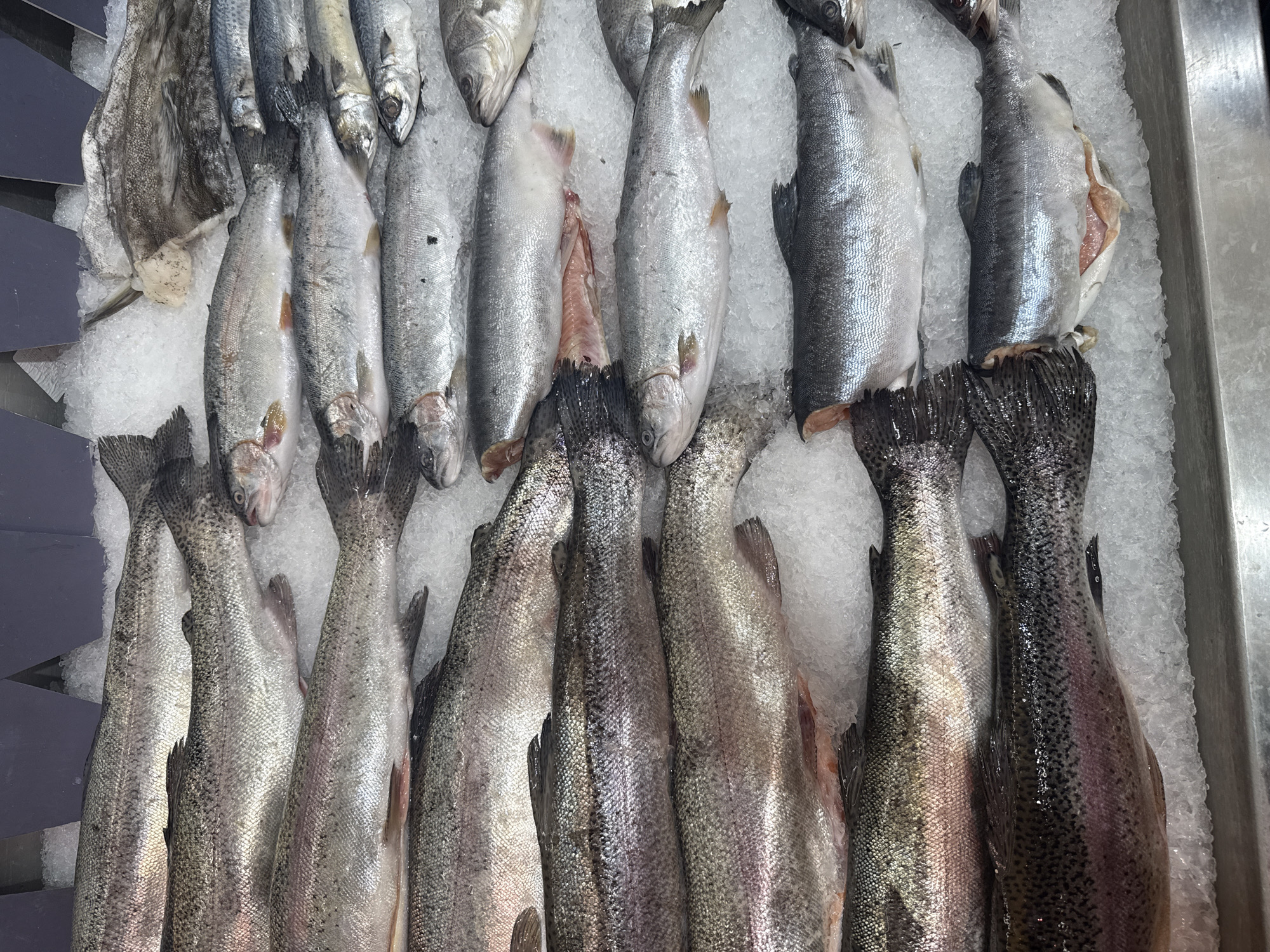 The image shows a display of fresh fish on ice, likely at a fish market or grocery store. The fish appear to be a mix of trout and smaller silver-colored fish, possibly herring or similar species. Some of the trout are positioned head-to-tail with the smaller fish. Some fish are whole, while others are gutted. The scene is brightly lit and appears to be indoors. There is no indication that this image was taken in Moscow, Russia.