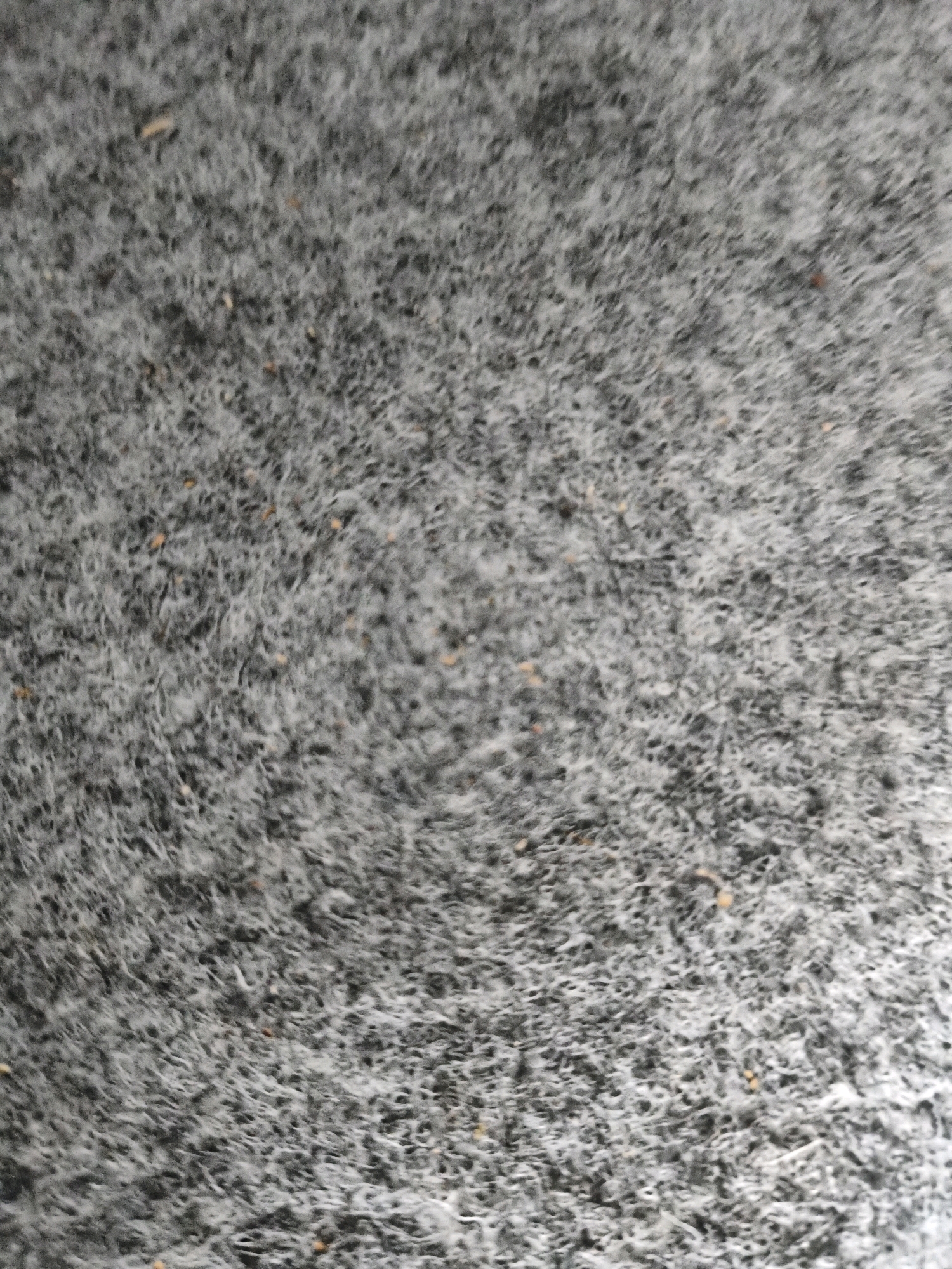 The image is a close-up, top-down view of a coarse, gray, textured surface, possibly a carpet or a rough textile. The texture is characterized by fine, interwoven fibers, with some lighter, almost white strands interspersed with darker gray ones. Scattered across the surface are small, irregular specks of a reddish-brown or tan color, suggesting dirt, debris, or imperfections in the material. The lighting appears to be somewhat diffuse, with subtle variations in brightness across the surface. There are no discernible objects, people, or actions depicted in the image, and no clear indication of its location within Sukasejati, Indonesia. The image focuses solely on the abstract textural details of the surface.