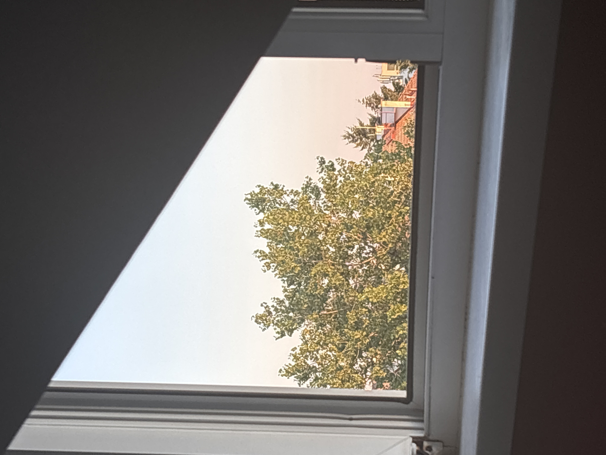 A view of trees and buildings through a window with a slanted shadow across the top. The sky is a gradient of pale blue to pink, suggesting either sunrise or sunset. The foreground shows a white windowsill.