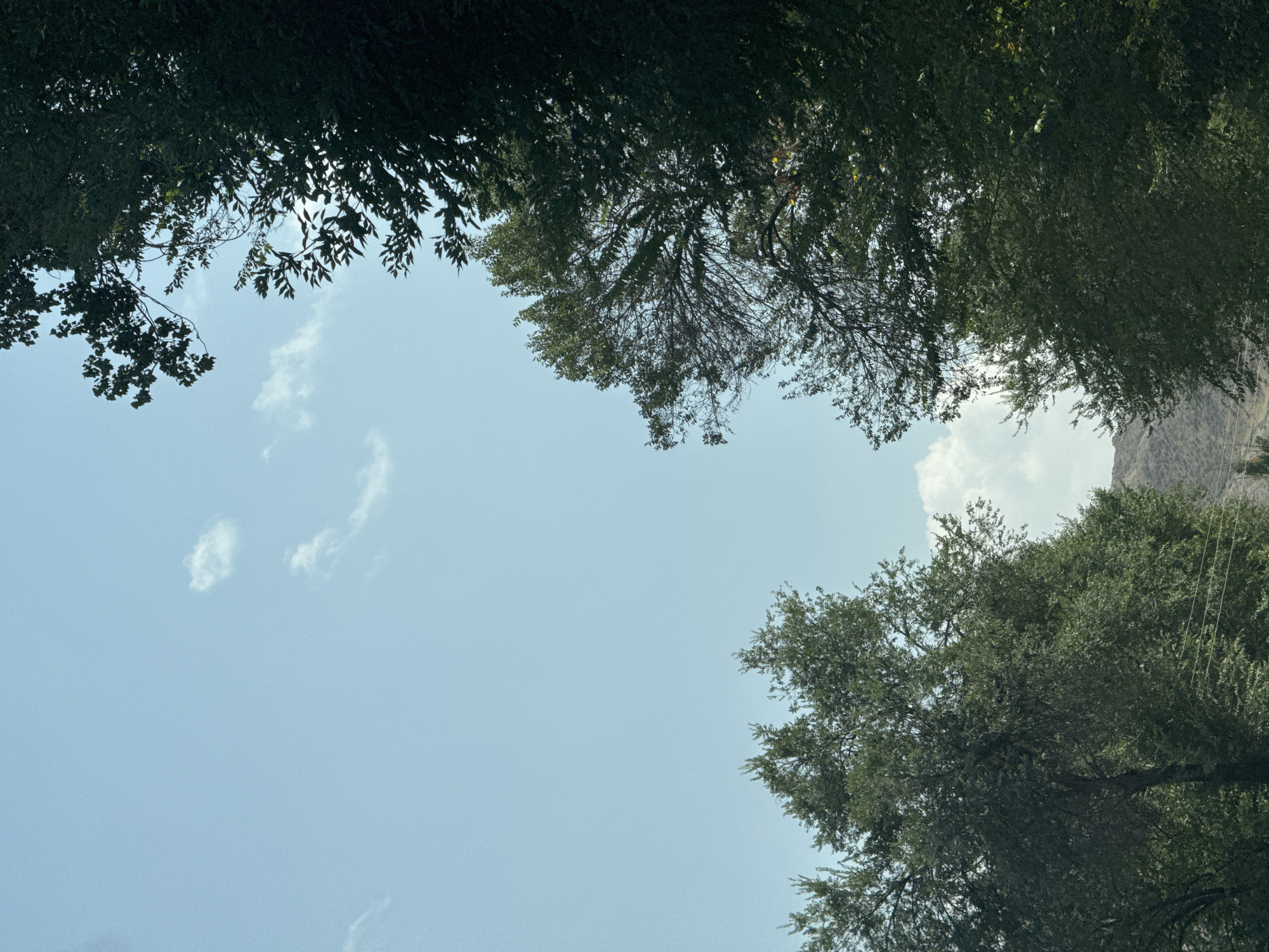 The image shows a view looking upwards towards a clear blue sky with scattered white clouds. Lush green trees frame the top and sides of the frame, with their branches and leaves silhouetted against the sky. The dense foliage of the trees obscures much of the background, but hints of a dry, hilly landscape can be seen in the distance at the bottom of the frame. There are no people or animals visible in the image, nor are there any apparent structures or human-made objects, other than what appear to be power lines running horizontally in the lower portion of the scene. The overall impression is one of a natural outdoor setting, likely in a rural or semi-rural area. The location is identified as Beş-Küŋgöy, Kyrgyzstan.