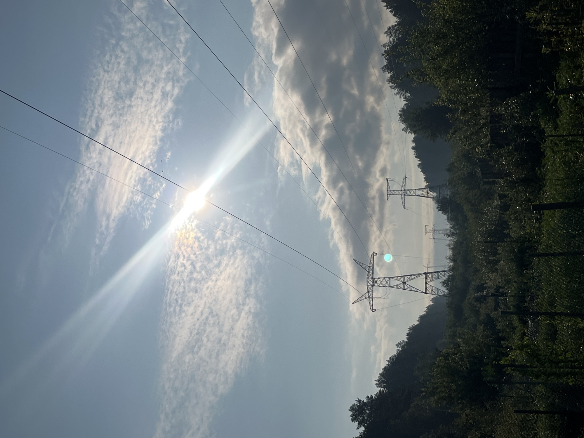 This image captures a landscape scene featuring power lines traversing across a hazy, sunlit sky above a wooded area. Several tall, lattice-style transmission towers are visible in the distance, interspersed with lush green trees that line the horizon. The sun is bright and positioned high in the sky, casting strong rays and creating lens flare effects, particularly a bluish-green circular anomaly on the closest power tower. The foreground shows dense vegetation, including trees and undergrowth, with hints of fencing and possibly a small garden area. The overall atmosphere is one of a rural or semi-rural setting bathed in the strong light of a clear or partly cloudy day. The image does not contain any people or identifiable urban structures within Nizhny Tagil, Russia.