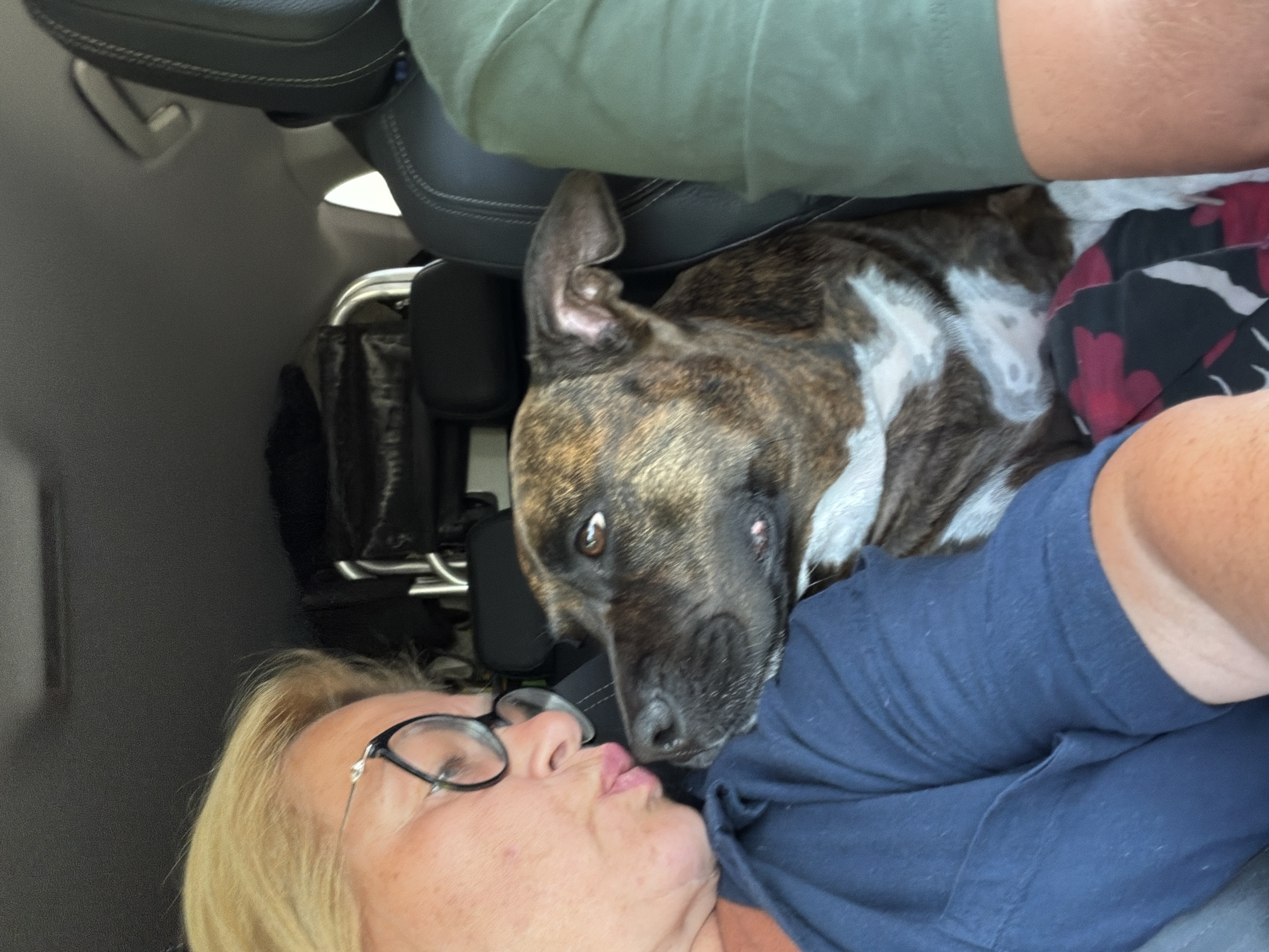 In Šlapanice, Czechia, a woman with blonde hair and glasses is in a car, leaning towards a brindle-colored dog. She is wearing a dark blue shirt. The dog, which appears to be a pit bull mix, is resting its head on the woman's shoulder. The interior of the car is visible, with black leather seats and the roof liner. Another person's shoulder, wearing a green shirt, is visible on the right side of the frame. The overall scene captures an intimate moment between the woman and her dog inside the vehicle.