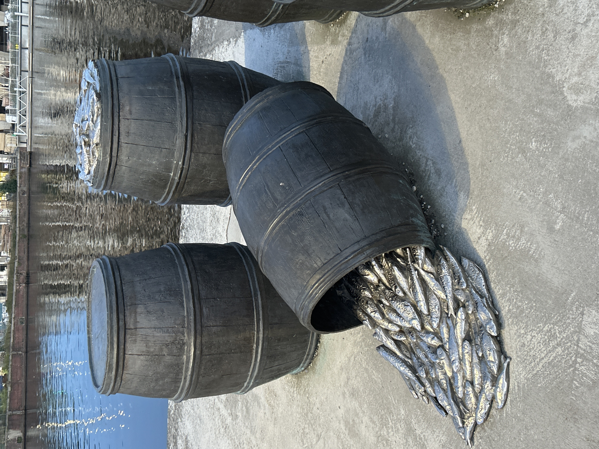 The image displays a public art installation on a concrete promenade beside a body of water. The installation features several large, dark-colored, barrel-shaped sculptures. One barrel is tipped on its side, and a cascade of numerous smaller, metallic fish sculptures spills out of it onto the concrete surface. Another barrel stands upright behind the tipped one, its top filled with a similar arrangement of metallic fish. A third barrel is partially visible to the right, also upright and filled with fish. In the background, the water reflects the sky and structures along the opposite bank, which appear to be buildings and scaffolding. This installation, titled "The Catch" or "The Haul," is located at the Wały Chrobrego (Chrobry Embankment) in Szczecin, Poland, a prominent waterfront area. The scene is captured from a slightly elevated perspective, focusing on the artwork and its immediate surroundings. There are no people visible in the image.