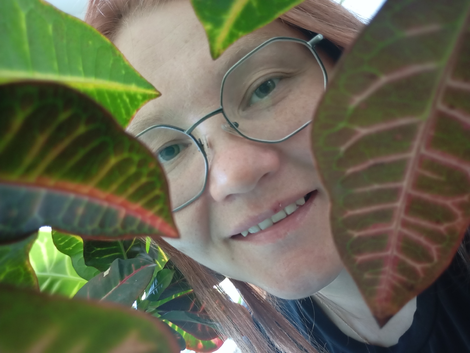 The image shows a close-up, selfie-style shot of a person's face peering through the leaves of a houseplant. The person is wearing glasses with thin, polygonal frames and has light-colored hair that appears to be reddish-brown. Their eyes are looking towards the camera, and they have a slight smile with their teeth showing. The leaves of the plant are in the foreground, obscuring parts of the person's face and the background. The leaves are green with some red and yellow variegation. The lighting suggests an indoor setting. The image does not contain any information about the city of Chaikovsky, Russia.