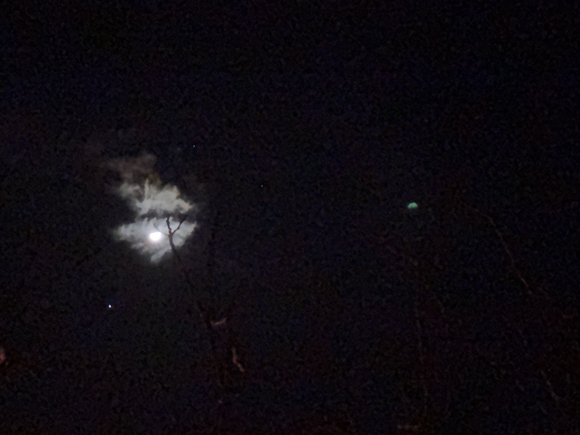 The image displays a nighttime scene over Dobrovnitsa, Bulgaria. The moon, appearing as a bright, circular light source, is partially obscured by irregular, wispy white-grey clouds in the upper-left quadrant. Several faint white points, consistent with stars, are scattered across the dark, predominantly black sky. A particularly bright white star or planet is visible below and to the left of the moon. Dark, silhouetted tree branches, largely devoid of leaves, extend into the frame from the right side. A small, distinct green light source or emission is present in the upper-right quadrant of the sky. No human figures, animals, or discernible actions are depicted.