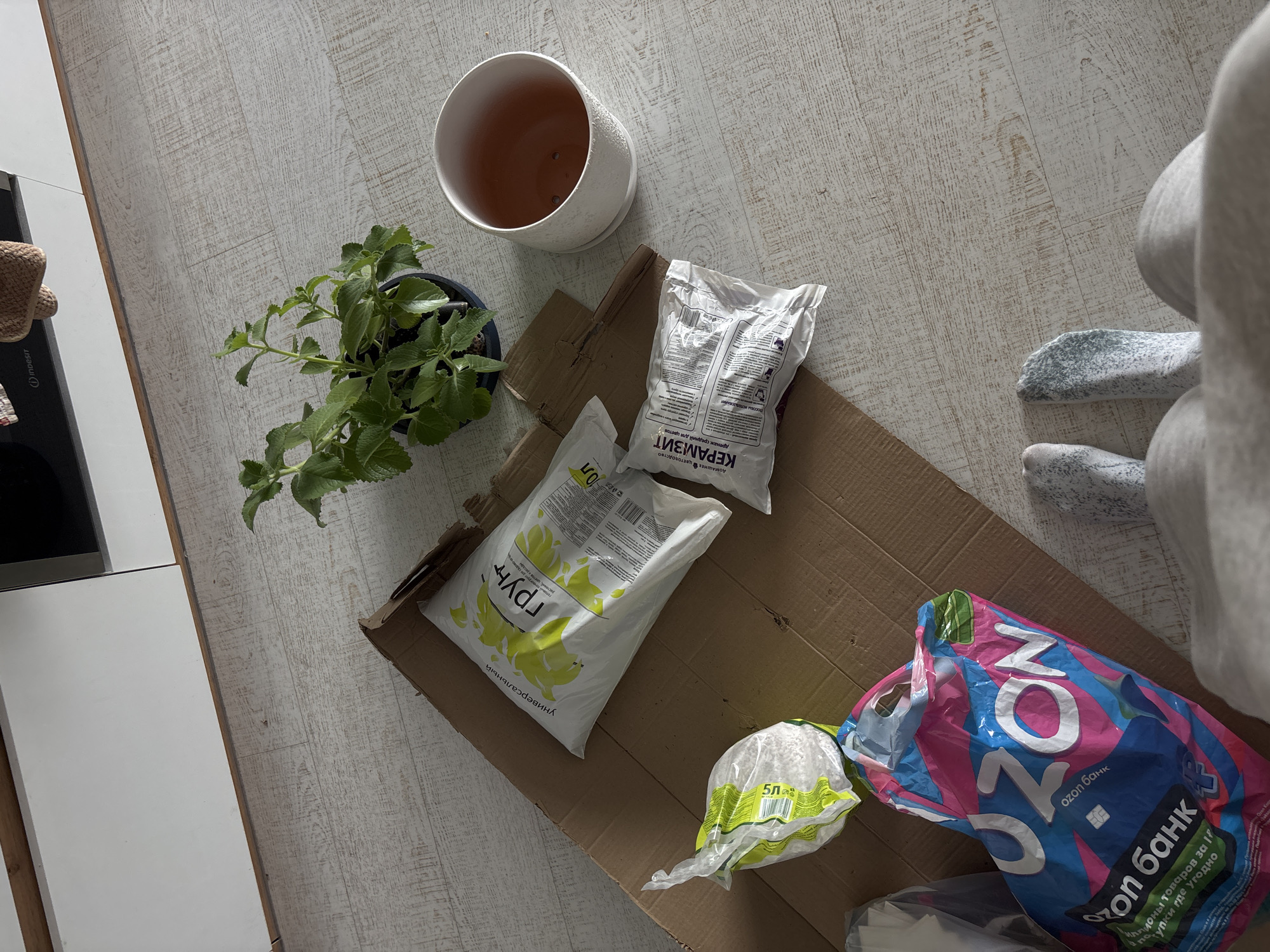 The image shows a scene on a light-colored, wood-patterned floor. Centrally positioned is a piece of cardboard with various items on it. These include two bags of potting soil, one labeled "грунт универсальный 10л," and another labeled "КЕРАМЗИТ дренаж средний для цветов." There is also a bag labeled "5л" and a pink and blue plastic bag with the "OZON банк" logo printed on it. A potted plant sits to the left of the cardboard, while an empty white ceramic pot is positioned above it. Part of a white kitchen cabinet or counter is visible on the left. Additionally, a person's legs, clad in socks, are visible on the right side of the image.
Given the labeling on the products ("OZON банк") and the Russian text on the potting soil, the location of this scene is most likely in Russia. Based on the OCR of the image and given that "OZON банк" operates in Russia, it is most likely to be Krasnoyarsk, Russia.