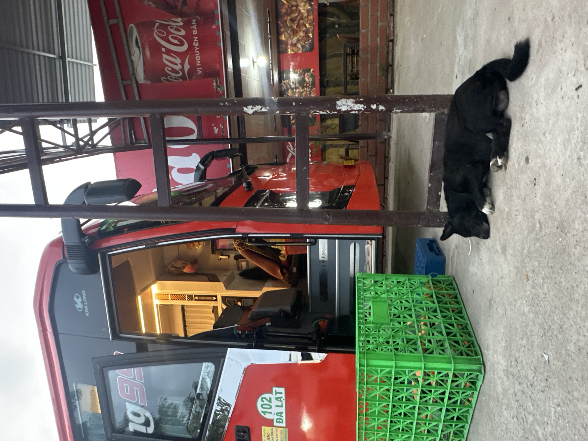 A medium-shot photograph shows a red bus parked near a building, with a black dog lying on the sidewalk next to it. The bus, with the brand name "KIM LONG" visible, features large numerals "1954" on the lower front, and the text "102 ĐÀ LẠT" in yellow on a red circle. A green plastic crate sits adjacent to the bus, and a Coca-Cola sign is visible above it. The dog is lying on the concrete sidewalk, and the side of a brick building is partially visible in the background. The location may be Nam Khanh Vinh, Vietnam, as that detail was provided in the prompt.