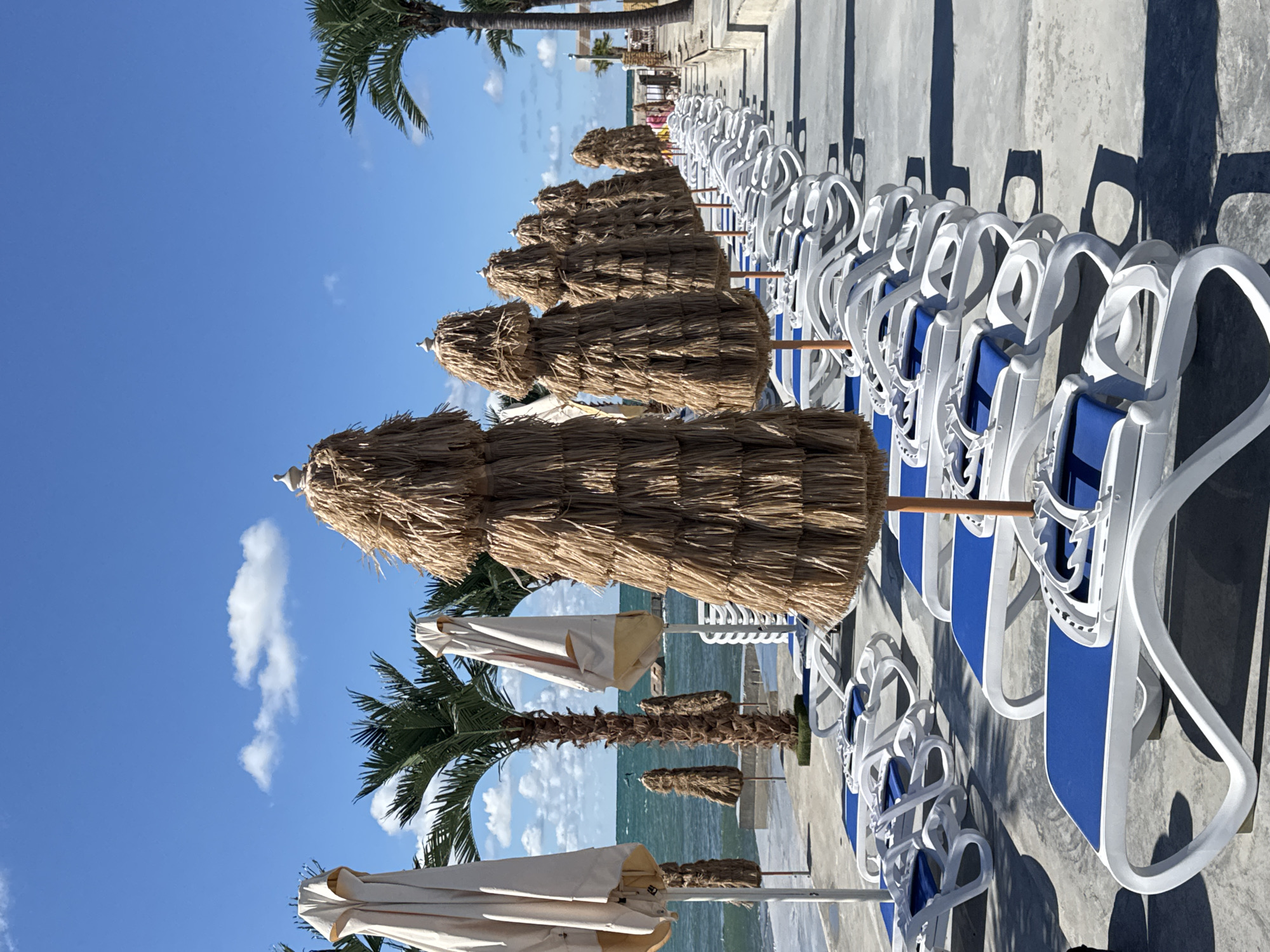 The image depicts a row of empty white lounge chairs with blue cushions, lined up on a concrete patio next to a body of water. Several straw umbrellas are positioned behind the chairs, with some closed fabric umbrellas also visible. Palm trees are interspersed among the umbrellas. The scene appears to be a beach resort or waterfront area, likely in Sevastopol, Ukraine, given the context of the provided information. The sky is blue with scattered white clouds, and the water is a deep turquoise. The overall impression is a serene, sunny day at a resort, with no people present in the immediate foreground.