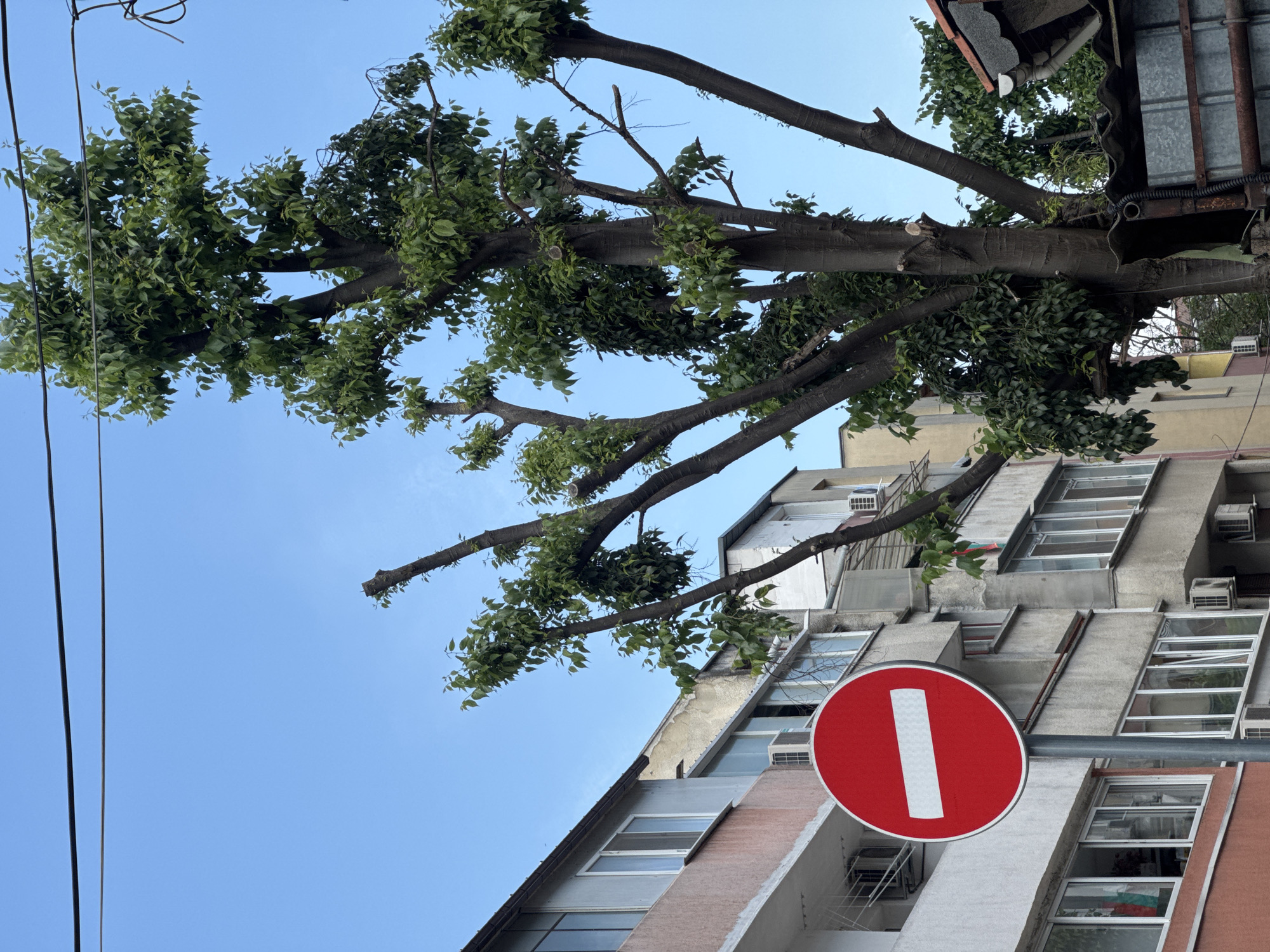 An urban street scene, likely in Varna, Bulgaria, captures a clear blue sky, a large tree, a multi-story building, and a prominent "no entry" road sign under bright daylight.
A substantial tree, appearing to have been recently pruned or pollarded, fills the left and central parts of the image. Its thick, dark branches extend across the frame, displaying numerous cuts where larger limbs were removed. Fresh, vibrant green foliage sprouts from many of these cuts and along the remaining smaller branches.
To the right, a tall, multi-story building rises, its facade a mix of concrete, white-painted sections, and reddish-brown brick-like textures. The building features many rectangular windows, some of which are recessed or set at angles, contributing to a distinctive modern or utilitarian architectural style. Several white external air conditioning units are mounted below various windows.
In the lower right foreground, a circular red "no entry" road sign with a thick white horizontal bar is clearly visible, attached to a metal pole and positioned in front of the building. Thin black power lines run vertically along the far left edge of the image, contrasting against the cloudless, bright blue sky that forms the background. The scene suggests a sunny day with clear weather.