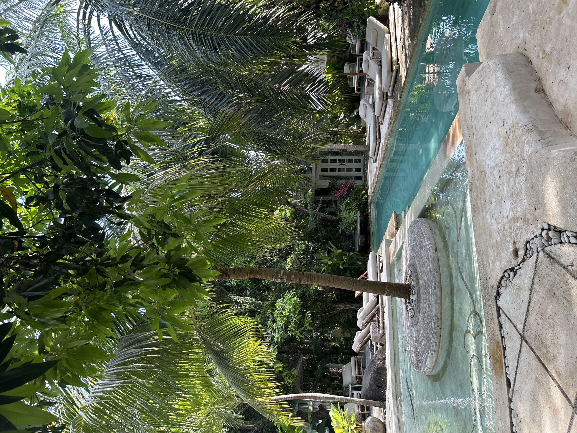 This is an outdoor, eye-level shot depicting a serene tropical resort or private garden scene in Kuta Selatan, Indonesia, bathed in bright daylight. The image is dominated by lush green foliage and clear blue water.
In the midground, a light blue swimming pool stretches horizontally across the frame. Its surface reflects the surrounding greenery and sky. Along the pool's edge, several white or light-colored lounge chairs are arranged, suggesting a relaxing area. To the right of the pool, a concrete or stone poolside area features steps leading down into the water. Further right, a decorative paved area with embedded dark pebbles and light-colored tiles, forming geometric patterns, is visible.
A unique circular water feature, seemingly made of mosaic tiles, sits in a shallow section of water closer to the viewer. From its center, a slender palm tree trunk emerges, surrounded by small, light-colored pebbles. The water around this feature appears to be gently rippling.
The scene is densely populated with tropical vegetation. Numerous tall palm trees, with their characteristic fronds, and other broad-leafed green plants fill the background and partially obscure views. Sunlight filters through the leaves, creating dappled light and shadows. In the background, beyond the pool and trees, a white building or structure with large windows or doors is partially visible, hinting at accommodation. The overall atmosphere is one of tranquility and tropical leisure. No people or visible text are present in the image.