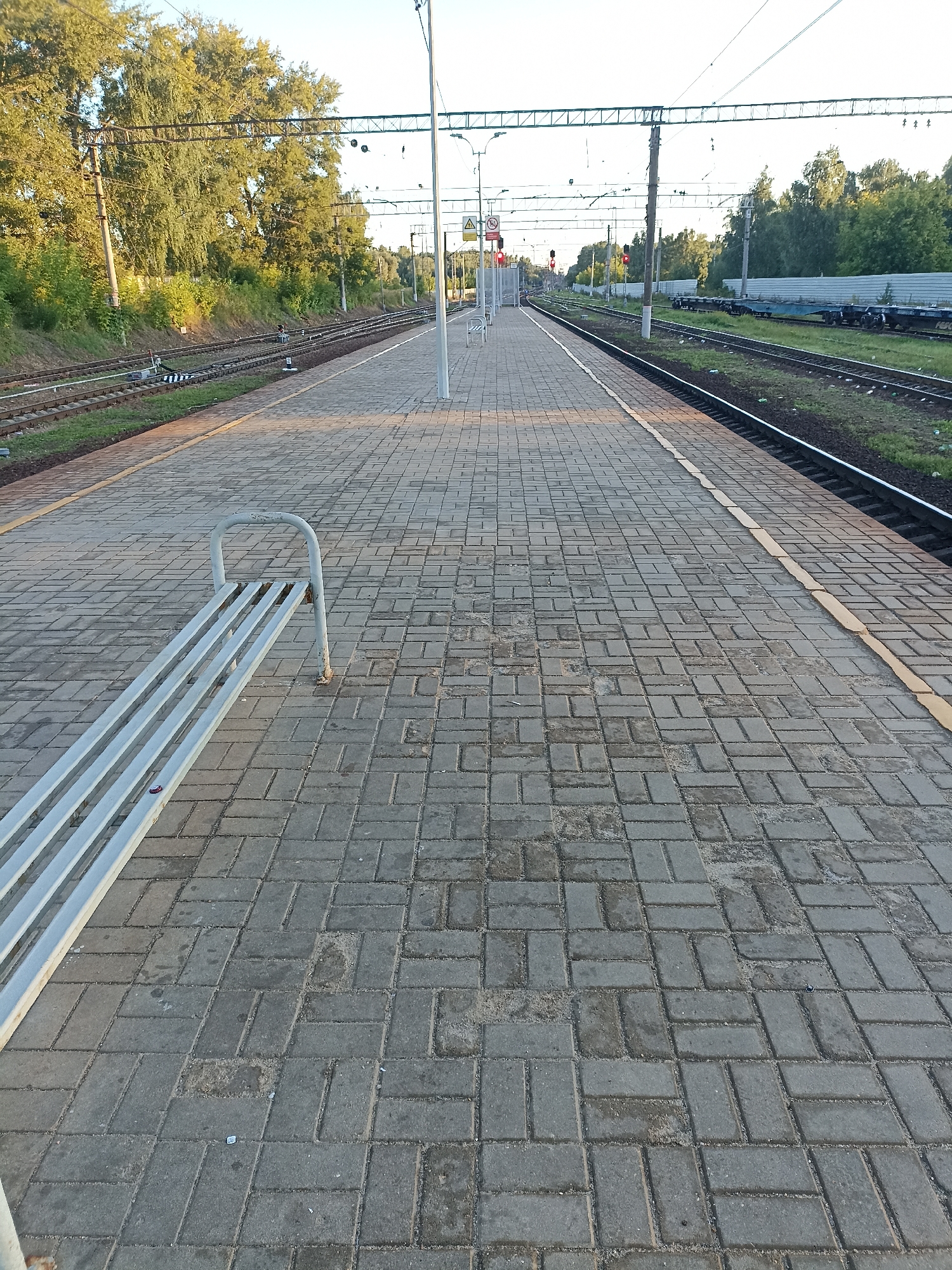 The image shows a railway platform in Chekhov, Russia, under a clear sky with abundant trees on either side of the tracks. The platform is paved with grey interlocking bricks and features a metal bench on the left. Two sets of railway tracks are visible, one on the left and another on the right. Overhead power lines stretch across the scene, supported by utility poles. Traffic signals are visible in the distance, some showing red lights. Several freight cars are parked on the right-hand tracks. The lighting suggests it is late afternoon or early evening, with long shadows cast across the platform.