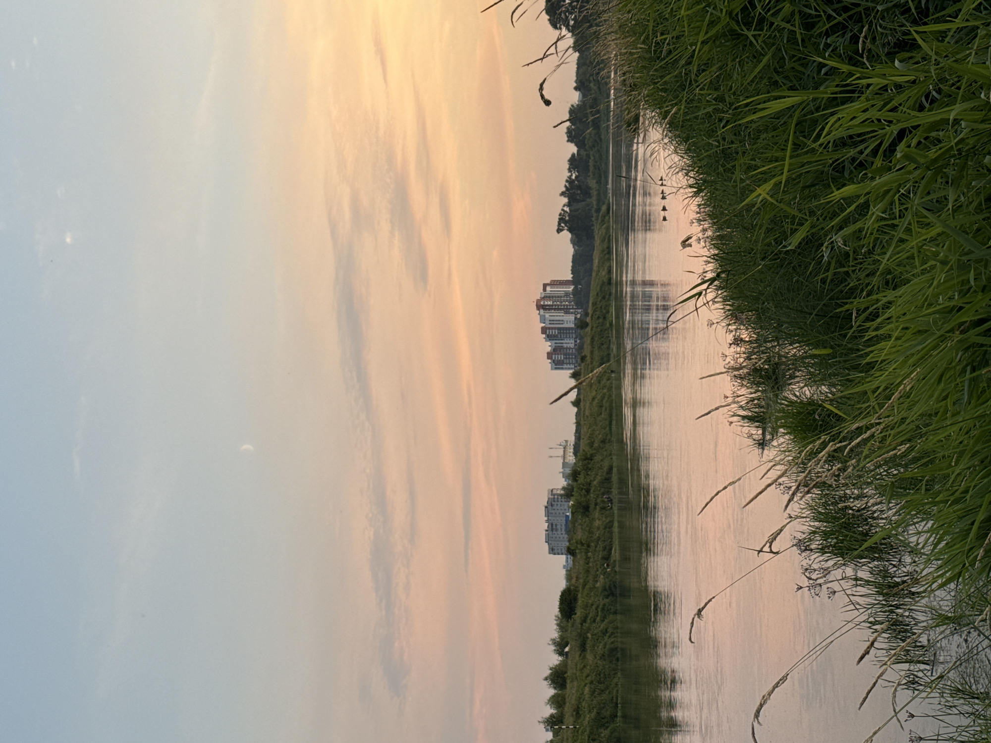 The image depicts a serene river scene during twilight, likely in the city of Mahilyow, Belarus. The sky is a soft gradient of pale blue and delicate pink, with a crescent moon visible. The river reflects the muted colors of the sky and the surrounding vegetation. The riverbank is overgrown with lush green grass and reeds, with tall stalks of grass in the foreground swaying gently. In the middle ground, there are several buildings, appearing to be apartment complexes, situated on the opposite bank, interspersed with trees. A small flock of ducks is visible swimming in a line on the water's surface. The overall atmosphere is tranquil and peaceful, characteristic of a riverside landscape at dusk.