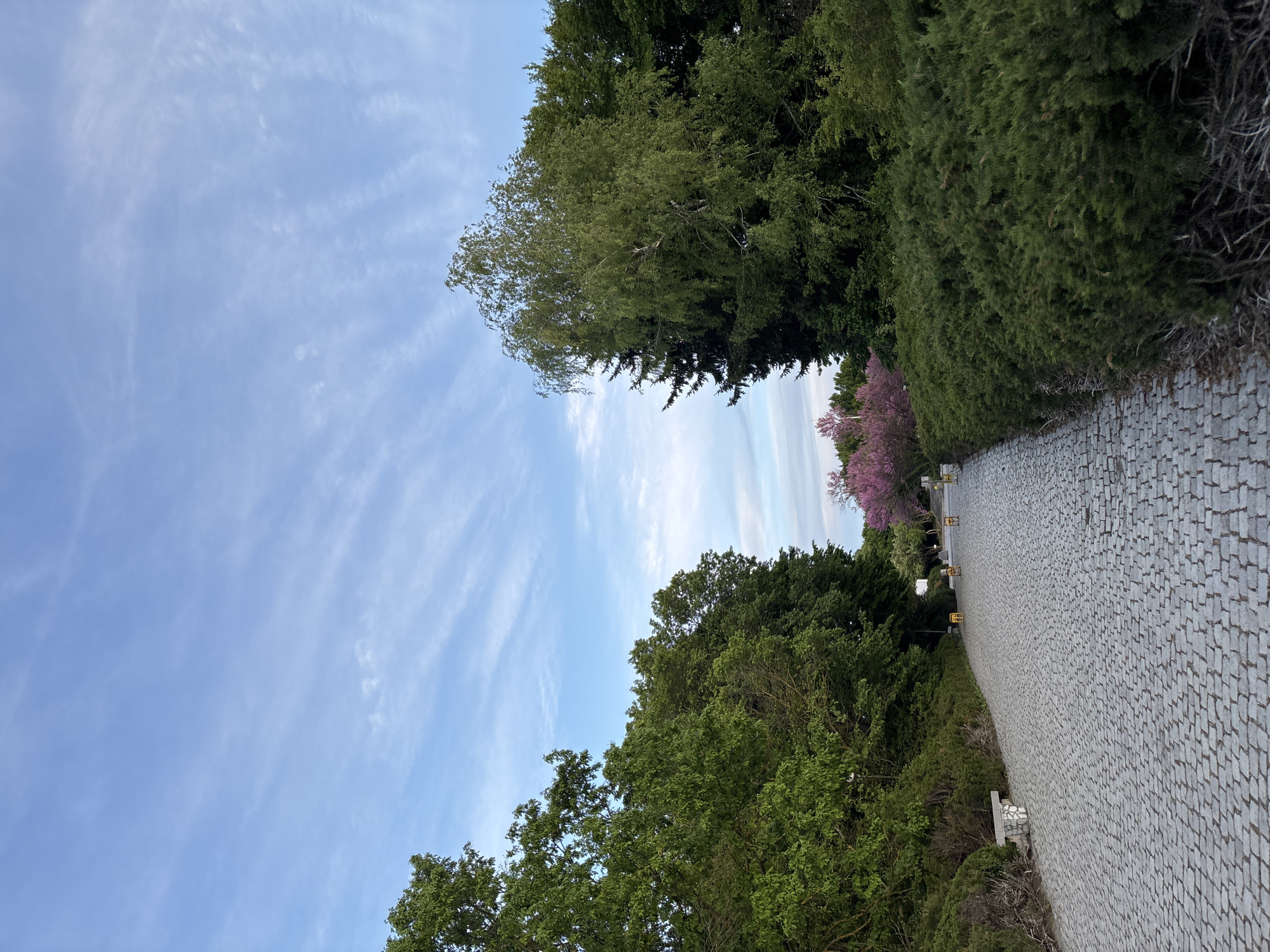 A ground-level, angled perspective captures a cobblestone pathway leading into the distance, bordered by trees and shrubs. The sky overhead exhibits a light blue hue with streaks of wispy clouds. Green foliage lines both sides of the path, with hints of pink blossoms visible among the trees. Benches are placed intermittently along the pathway.