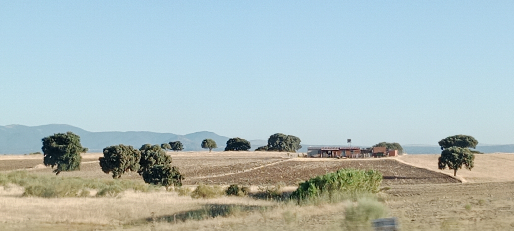 The image depicts a rural landscape under a clear blue sky. In the foreground, dry, tan grass covers the ground, with some sparse green shrubs and trees scattered throughout. A gently rolling terrain extends into the midground, where patches of tilled brown earth are visible, interspersed with more dry grass. Several scattered trees with dense green foliage are dotted across this area.
In the mid-to-background, a small cluster of buildings forms a farm or rural settlement. The structures appear to be red-roofed and are situated on a slight incline. Further in the distance, a range of hazy blue mountains forms the horizon line, with a clear, pale blue sky above. The overall impression is one of a sunny, arid rural environment. The scene is likely located in the vicinity of Santa Cruz del Retamar, Spain, given the characteristic vegetation and landscape.