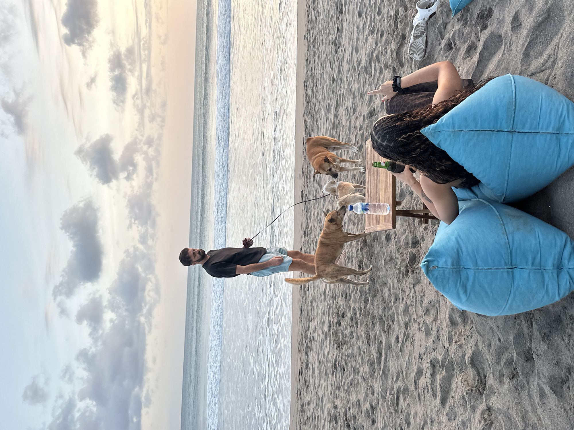In the city of North Kuta, Indonesia, on a sandy beach at sunset, a man stands on the left, holding a leash attached to a dog. In the center, a wooden table holds a bottle of water and a beer bottle. Three dogs are interacting on the sand. In the foreground, two people sit on blue beanbag chairs, facing away from the camera. One person is holding a beer bottle. The ocean is visible in the background, with gentle waves rolling onto the shore under a cloudy sky.