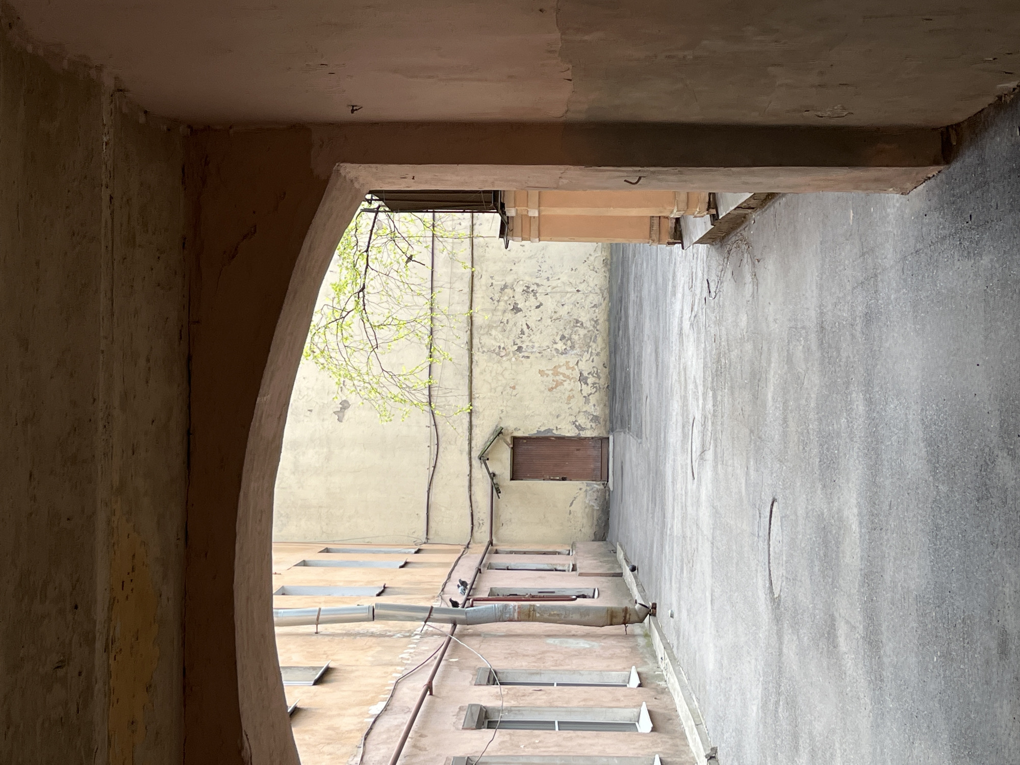 The image captures a view of an internal courtyard in Saint Petersburg, Russia, framed by an arched doorway. The walls surrounding the courtyard show aged and worn surfaces with visible peeling paint and discoloration. The buildings' facades are painted in muted tones, with visible pipes and conduits running along the walls. Several windows are present, some with closed shutters. A small tree branch with fresh green leaves extends into the frame. The courtyard appears narrow and enclosed, reflecting the city's typical architectural style of interconnected buildings.
