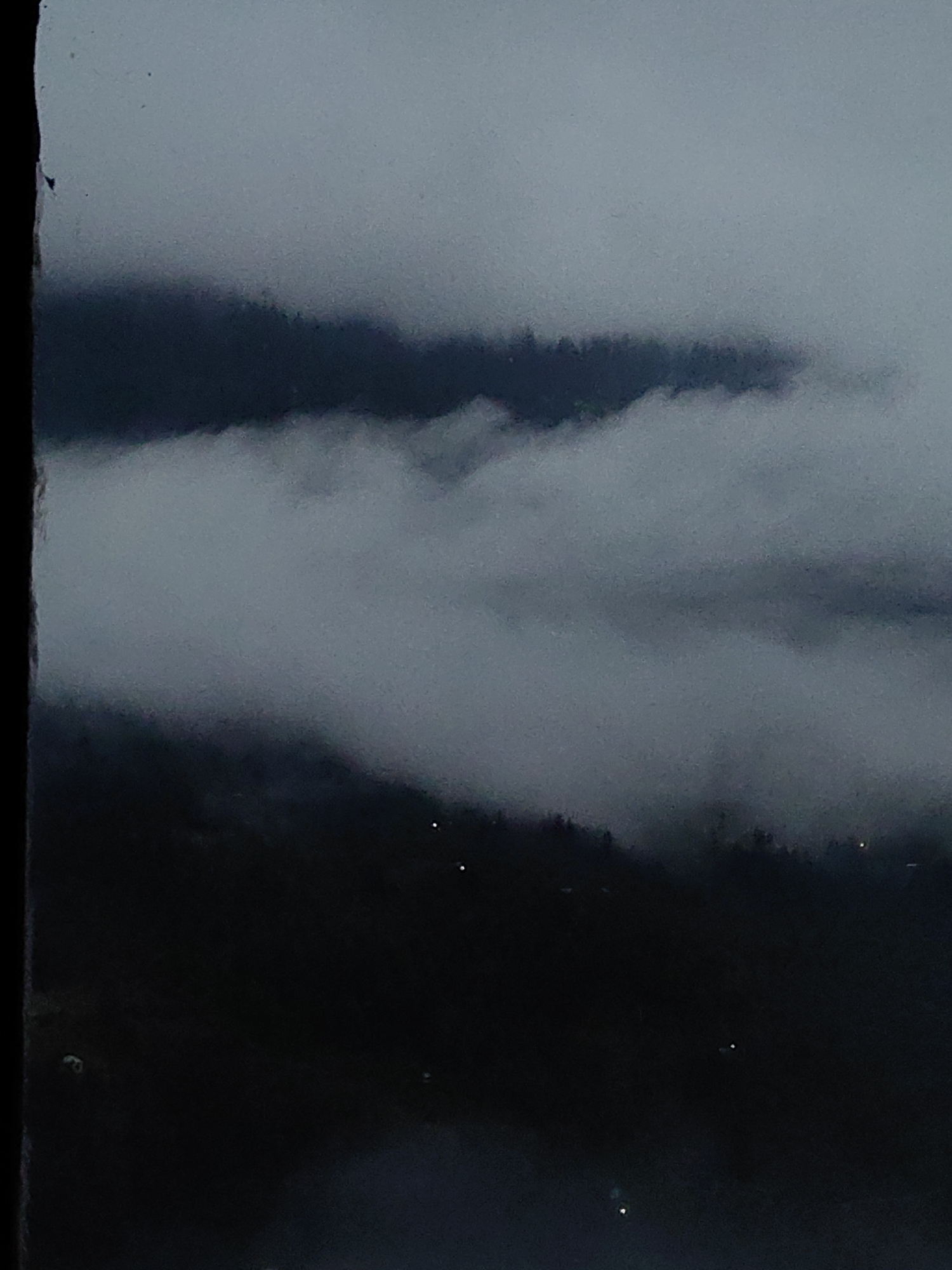 This is a photograph of a misty mountain landscape in Vashisht, India. The image is dominated by dark, shadowy shapes of mountains, partially obscured by layers of white mist. A dense dark green forest is visible on the slopes of the mountains. Tiny, faint lights, possibly from houses or streetlights, are scattered across the lower slopes. The sky is a uniform, pale grey, suggesting an overcast or twilight condition. The overall mood is somber and serene, with a sense of depth and mystery created by the fog.