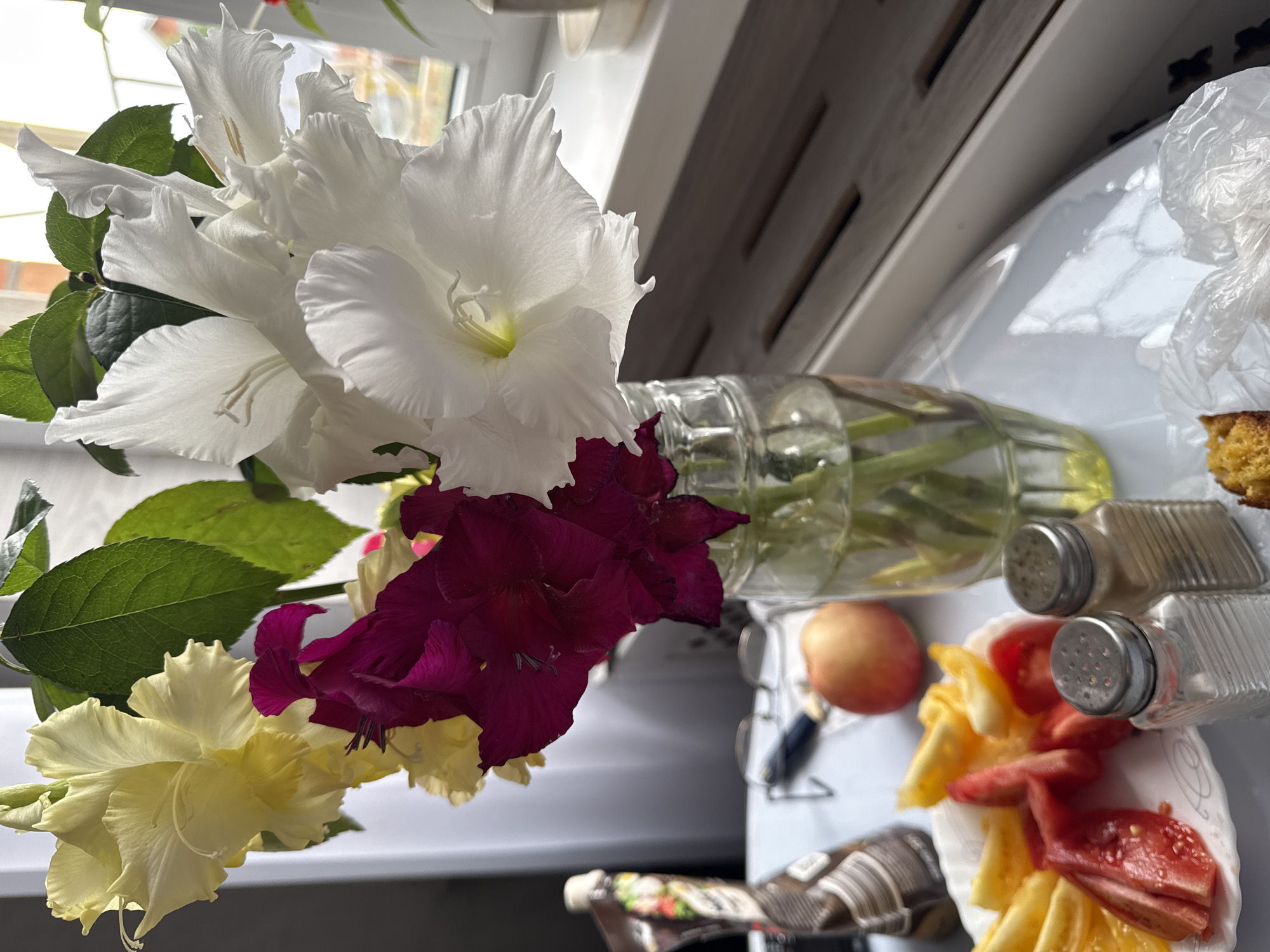 A still life composition is captured in a sunlit indoor setting, likely a windowsill, with a cityscape blurred in the background. The central focus is a clear glass vase holding a vibrant bouquet of gladiolus flowers in shades of white, yellow, and deep magenta. The flowers are arranged casually, some open and some still in bud, with lush green leaves providing contrast. To the left of the vase, a plastic bottle with a patterned label stands upright.
In the foreground, a white plate holds sliced tomatoes and possibly bell peppers, displaying a mix of red and yellow hues. Adjacent to the plate are two glass salt and pepper shakers, one filled with a light brown substance and the other appearing empty. Behind the plate, a single, round peach rests on a light-colored surface. A pair of eyeglasses with dark frames lies on the same surface, near a dark-handled object that could be a pen. The overall impression is one of domesticity, with elements suggesting a meal or a moment of relaxation. The lighting suggests it is daytime, with sunlight streaming in from the right, creating highlights and soft shadows on the objects. The background, though indistinct, indicates an urban environment with buildings visible through a window.