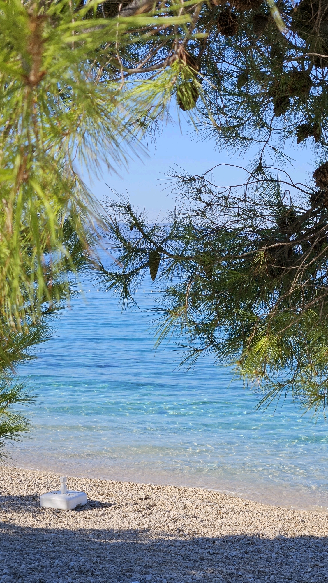The image captures a tranquil beach scene in Općina Tučepi, Croatia. Framed by the green needles and branches of pine trees, a pristine stretch of shoreline meets the crystal-clear turquoise waters of the Adriatic Sea. The beach is covered in small, light-colored pebbles, with a white plastic object, likely a base for an umbrella or sunshade, resting on the shore near the water's edge. Gentle waves lap the shore, creating a serene and inviting atmosphere. The sky above is a clear, vibrant blue. The sunlight casts dappled shadows on the beach, suggesting a warm, sunny day. The overall impression is one of natural beauty and peaceful relaxation.