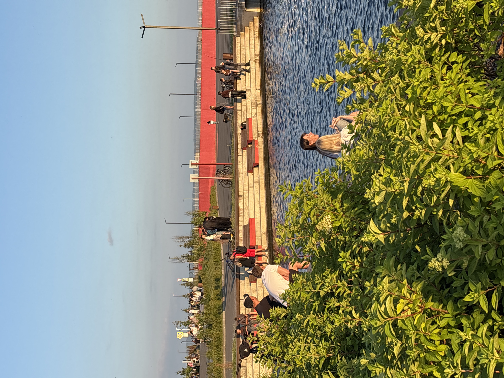 The image depicts a sunny day at a waterfront park, likely in Tolyatti, Russia, given the context. In the foreground, lush green bushes with some white flowers obscure the lower portion of the scene. Beyond the bushes, a body of water is visible with gentle ripples. Along the edge of the water are tiered steps made of concrete and red seating. Several people are seated on these steps, some facing the water, others facing away. In the middle ground, a promenade is visible with a bright red barrier or wall. More people are walking and gathered on this promenade. Various trees and streetlights line the promenade. In the background, the sky is a clear, pale blue with a hint of a cloud. The overall atmosphere appears relaxed and leisurely, with individuals enjoying the outdoor space.