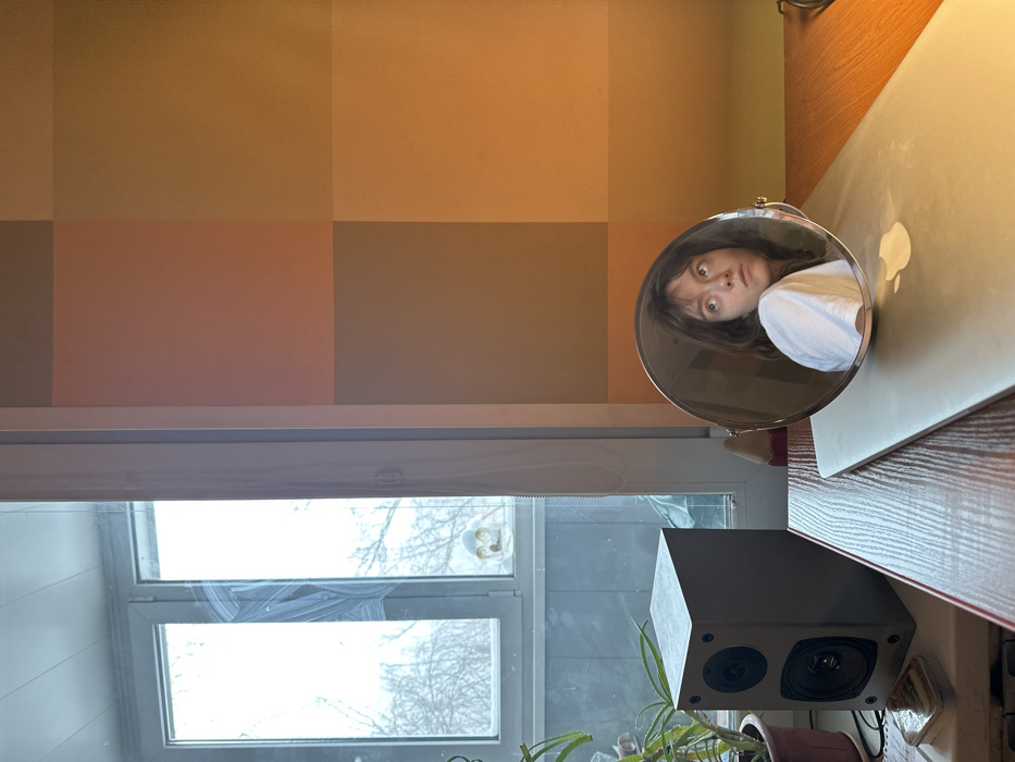 The image, oriented correctly, displays an indoor scene dominated by a desk, a window, and a reflection in a mirror.
In the upper right portion of the frame, a circular, silver-framed mirror reflects the face of a young person. The person has shoulder-length dark hair with bangs and is wearing a white t-shirt. Their eyes are wide open, and their mouth is slightly ajar, conveying an expression of surprise or intense focus. Their head is tilted to the side within the mirror's reflection. The mirror appears to be resting on a silver laptop, likely a MacBook, as indicated by the visible Apple logo on its lid. The laptop itself is placed on a wooden desk or table surface.
The wall behind the desk and window features a grid-like pattern of large square or rectangular blocks of color. These colors are muted and earthy, including shades of orange, brown, and possibly a pinkish-brown or greyish-brown.
Below the patterned wall and to the left of the desk area, a large window is visible. The window has multiple panes and white frames, with light-colored blinds partially visible at the top. Through the window, an outdoor scene of bare tree branches can be seen, suggesting either winter or early spring. The sky outside appears bright and overcast. There are some smudges or streaks visible on the window glass, particularly on the lower left pane.
On the windowsill or a surface directly below the window, to the right, sits a dark-colored speaker box with two visible circular speaker cones. Next to the speaker, a potted plant with green leaves adds a touch of greenery to the scene. The overall lighting is bright and natural, indicating that the photograph was taken during the daytime.