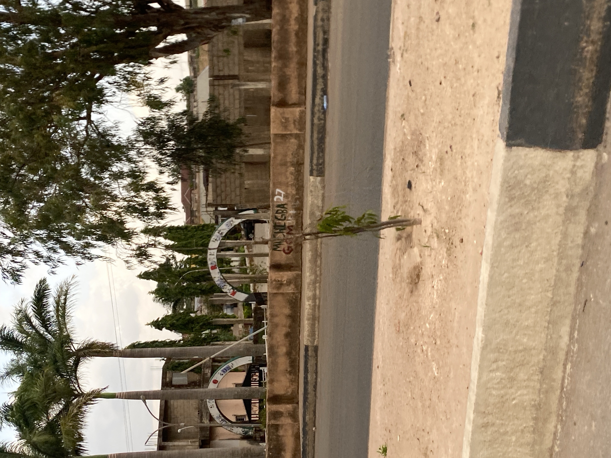 The image depicts a street scene in Gura Top, Nigeria. A tree, palm trees, buildings and street archways are visible. The street is bordered by a concrete divider. Graffiti is seen on the side of the divider and the image is taken on the roadside.