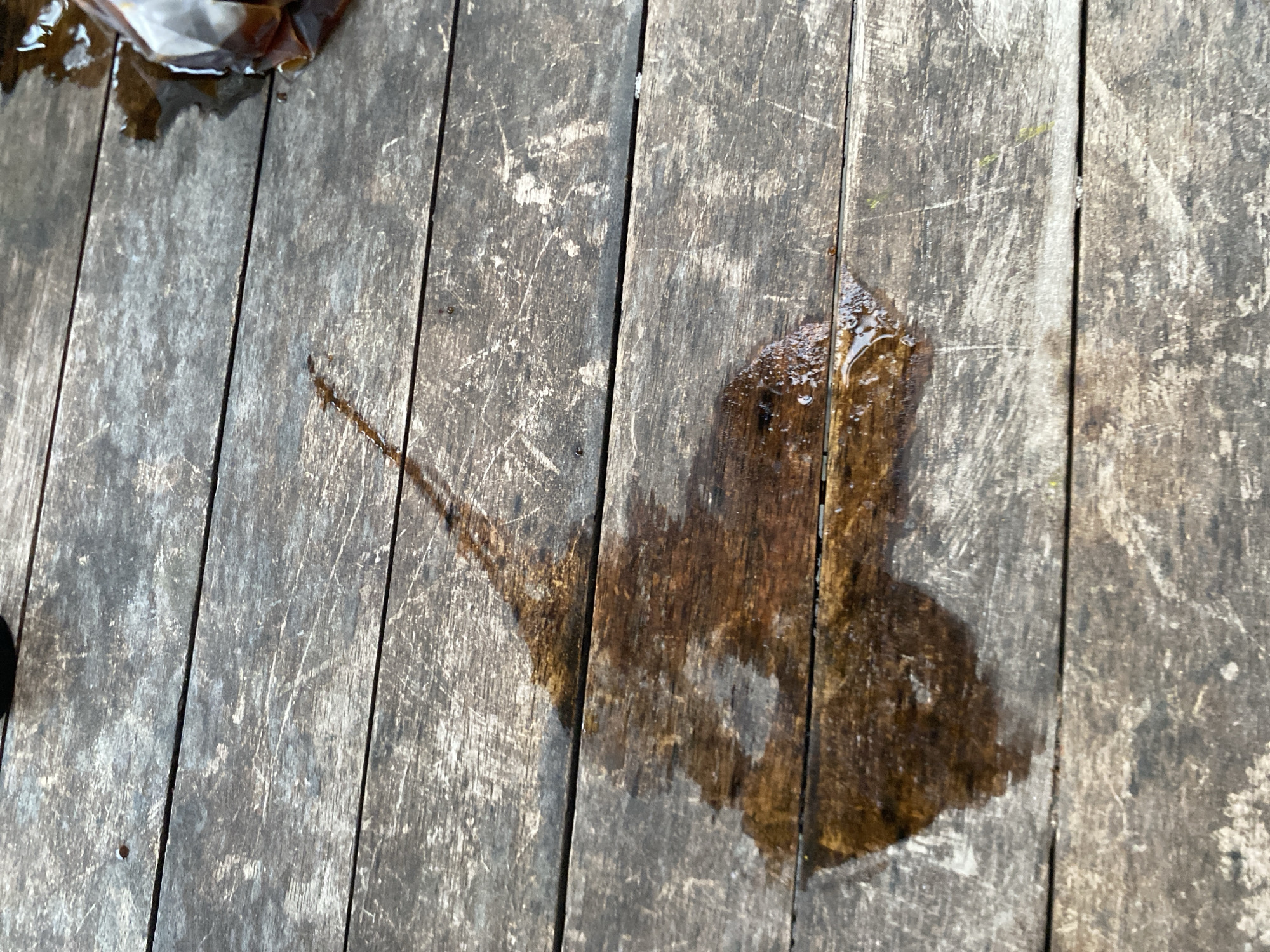 A puddle of dark liquid, possibly coffee or tea, has spilled on a weathered wooden surface, likely an outdoor table. The liquid forms a larger pool at the bottom left of the image and trails upwards and to the right in a thin, elongated streak. The wooden planks are aged and worn, showing visible grain and scratches. In the upper right corner, a portion of a clear plastic bag containing a similar dark liquid is visible, suggesting the source of the spill. The scene appears to be outdoors, given the natural lighting and the texture of the wood. The location is unspecified beyond the mention of Mengwi, Indonesia.