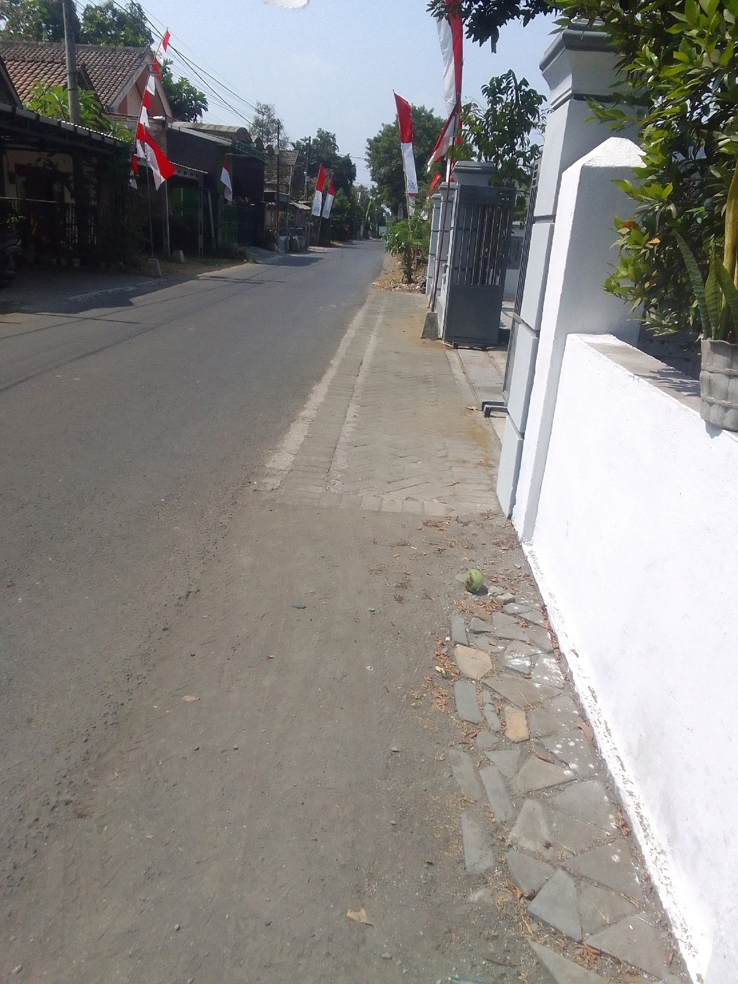 The image captures a street scene in Ngadiluwih, Indonesia, likely on a sunny day. The foreground is dominated by an asphalt road, with a section of lighter-colored dirt and gravel to its right, bordering a paved walkway. This walkway is made of irregularly shaped stone tiles and is lined with dry leaves and twigs.
Adjacent to the walkway is a white, modern-style wall with layered, stepped pilasters. A dark gray metal gate is visible within this wall structure. Beyond the wall, dense green foliage from trees and plants is present.
To the left of the road, a row of houses with tiled roofs and awnings is visible. Several Indonesian flags, red and white, are prominently displayed on poles along the street and in front of the houses, suggesting a patriotic or celebratory occasion. Power lines are strung across the scene. The overall impression is a residential street in a tropical or subtropical climate.