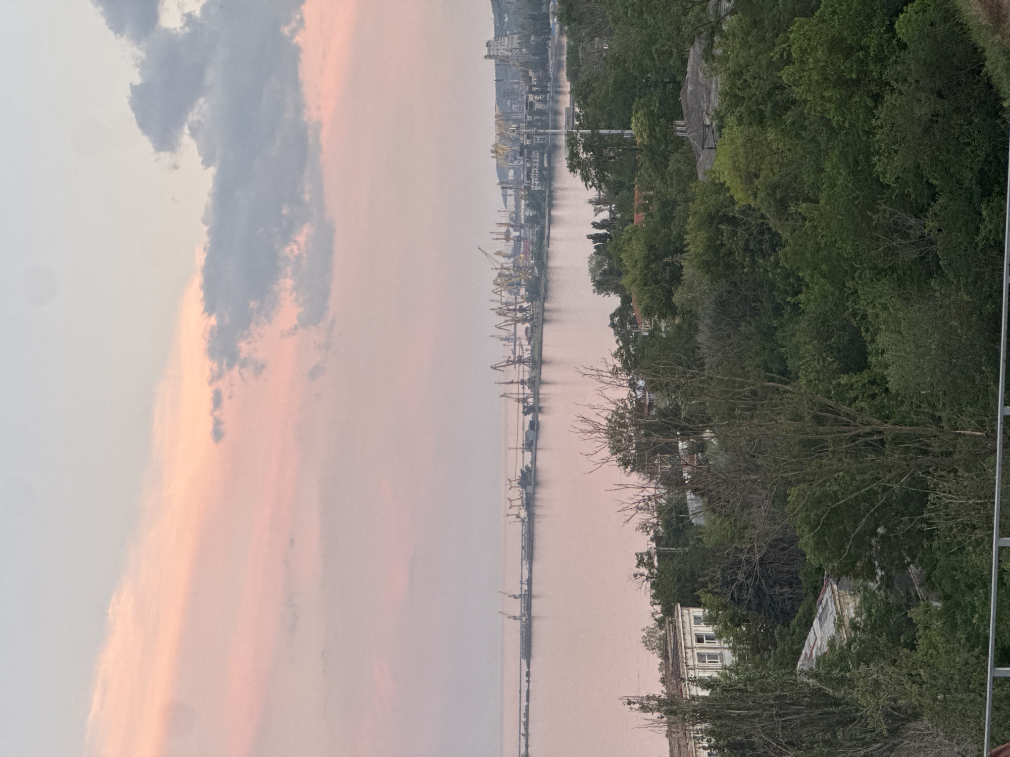 This is a wide-angle, elevated, horizontal photograph taken at dusk overlooking a large port and a body of water. The sky is filled with soft pink and grey clouds. In the mid-ground, a long pier extends into the water, lined with numerous industrial cranes of various sizes and colors, primarily yellow and grey, suggesting a busy port environment. Several ships are docked along the pier, and a few buildings are visible further down the coastline. The water in the foreground is calm and reflects the sky's colors. The lower third of the image shows a dense canopy of green trees, with some older buildings, including a white building with visible windows and a grey-roofed structure, peeking through the foliage. The overall scene depicts a coastal industrial area at twilight. Given the specific industrial infrastructure and prominent cranes, this scene is consistent with the Port of Mariupol, Ukraine. There are no people visible in the image.