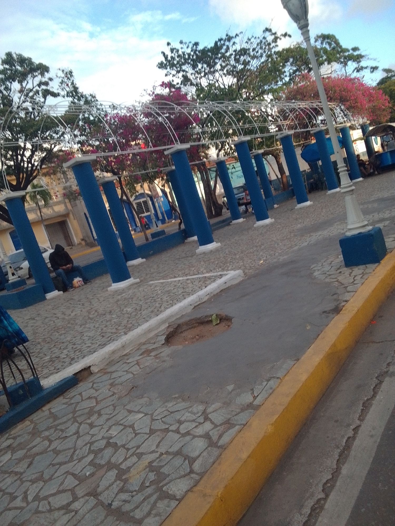 In the city of La Tagua, Venezuela, a person wearing a dark hooded jacket and blue jeans sits on a black bag next to a white plastic bag. They are positioned on a cobblestone surface beneath a canopy supported by blue pillars, which are adorned with white caps. The scene is outdoors, with trees displaying pink and green foliage in the background. A light pole with a decorative design stands near the pillars. The ground is paved with irregular grey stones and has a yellow curb running along the edge of a paved area. A small hole is visible in the ground near the yellow curb.